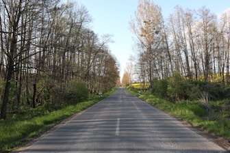 An empty road in the middle of a wooded area
