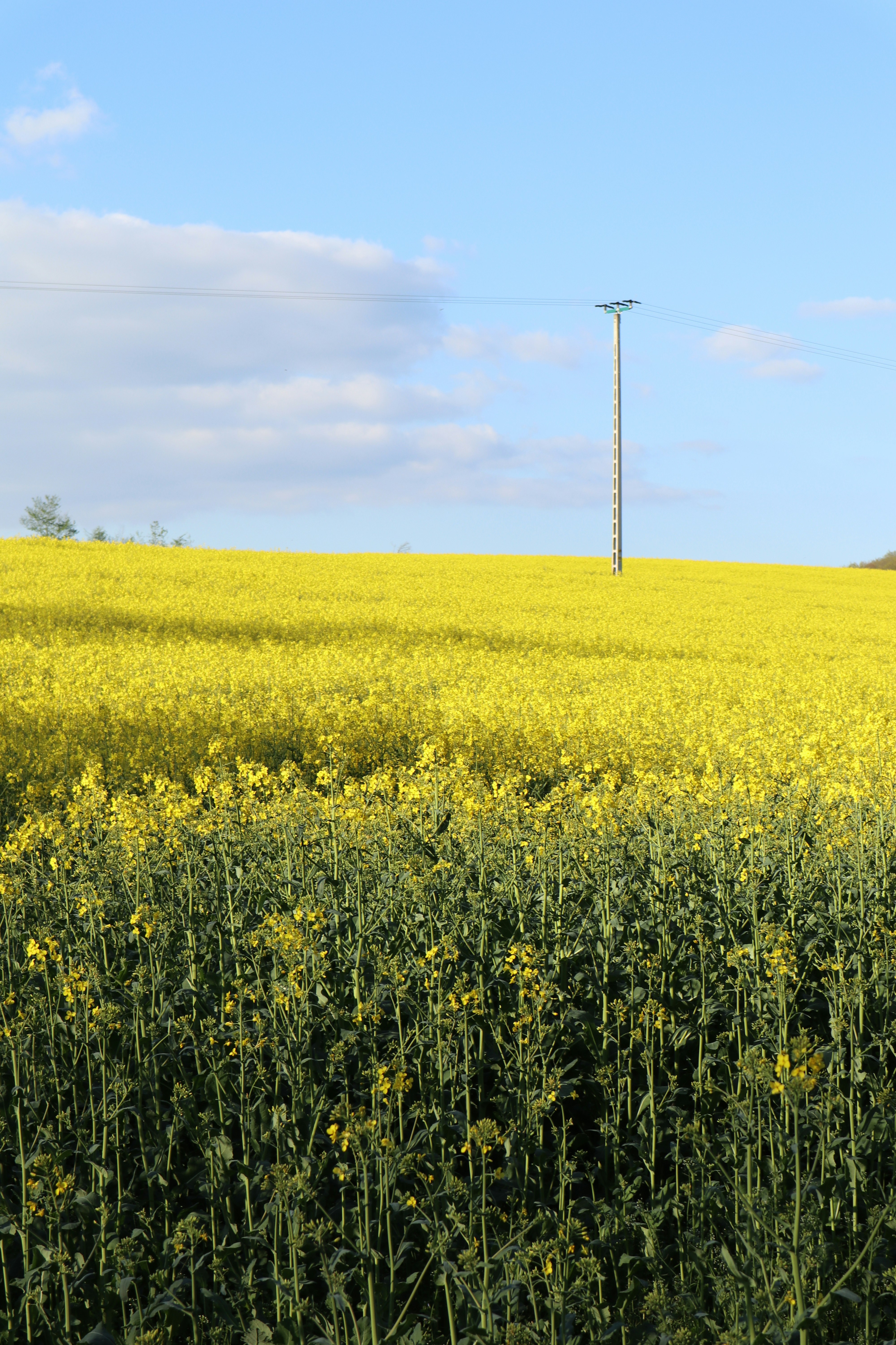 Photo by balint_miko