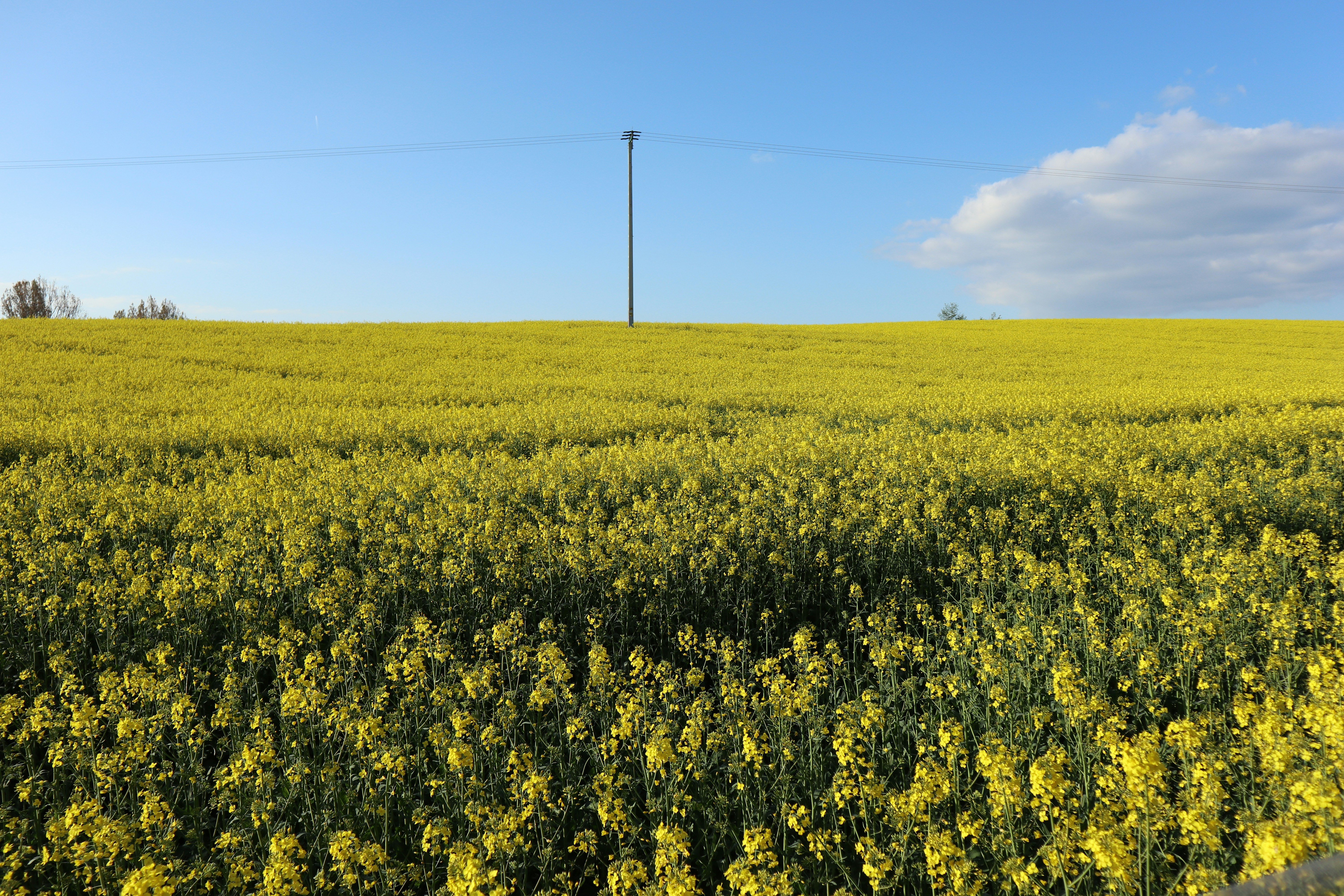 Photo by balint_miko