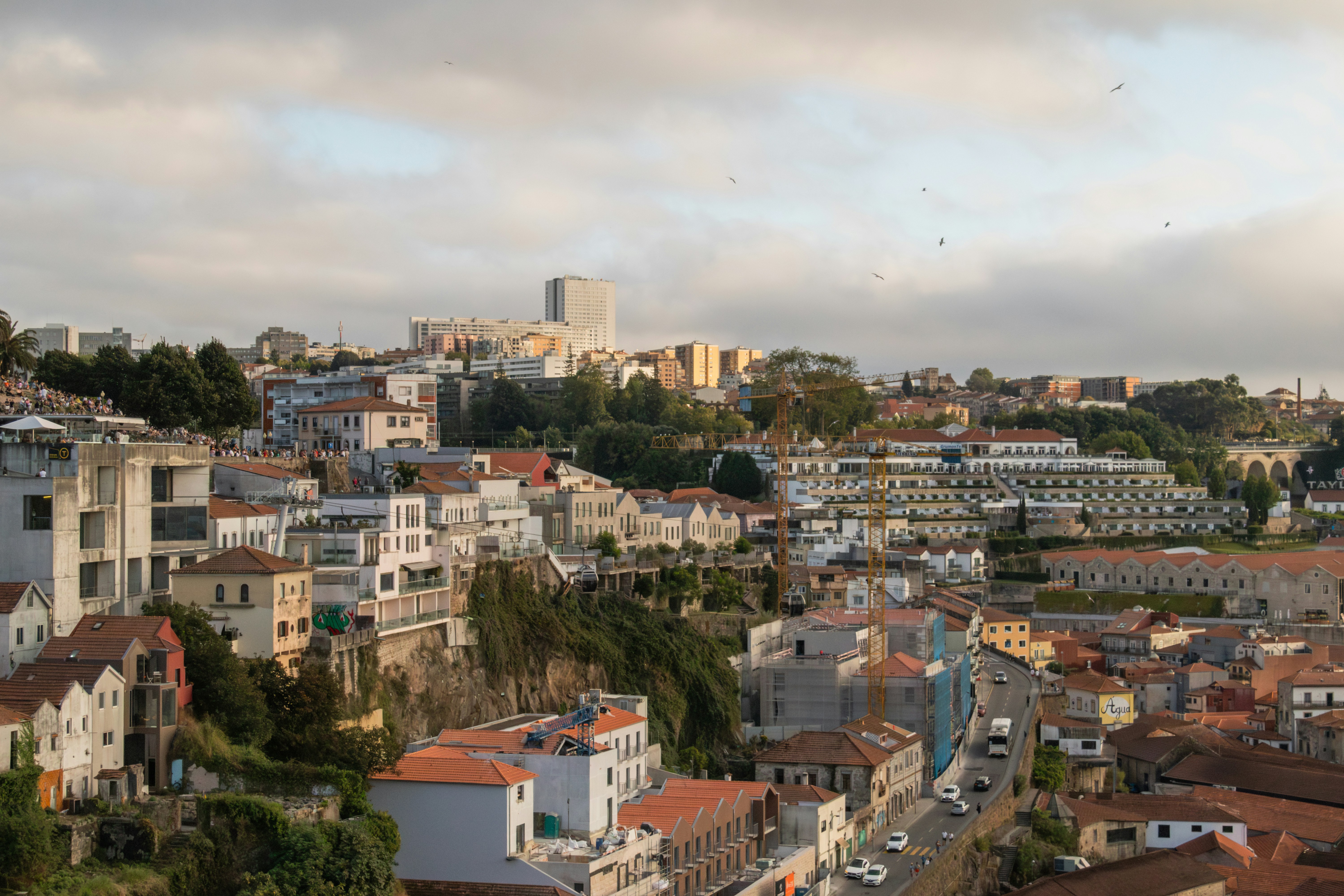 Photo by filipenobre