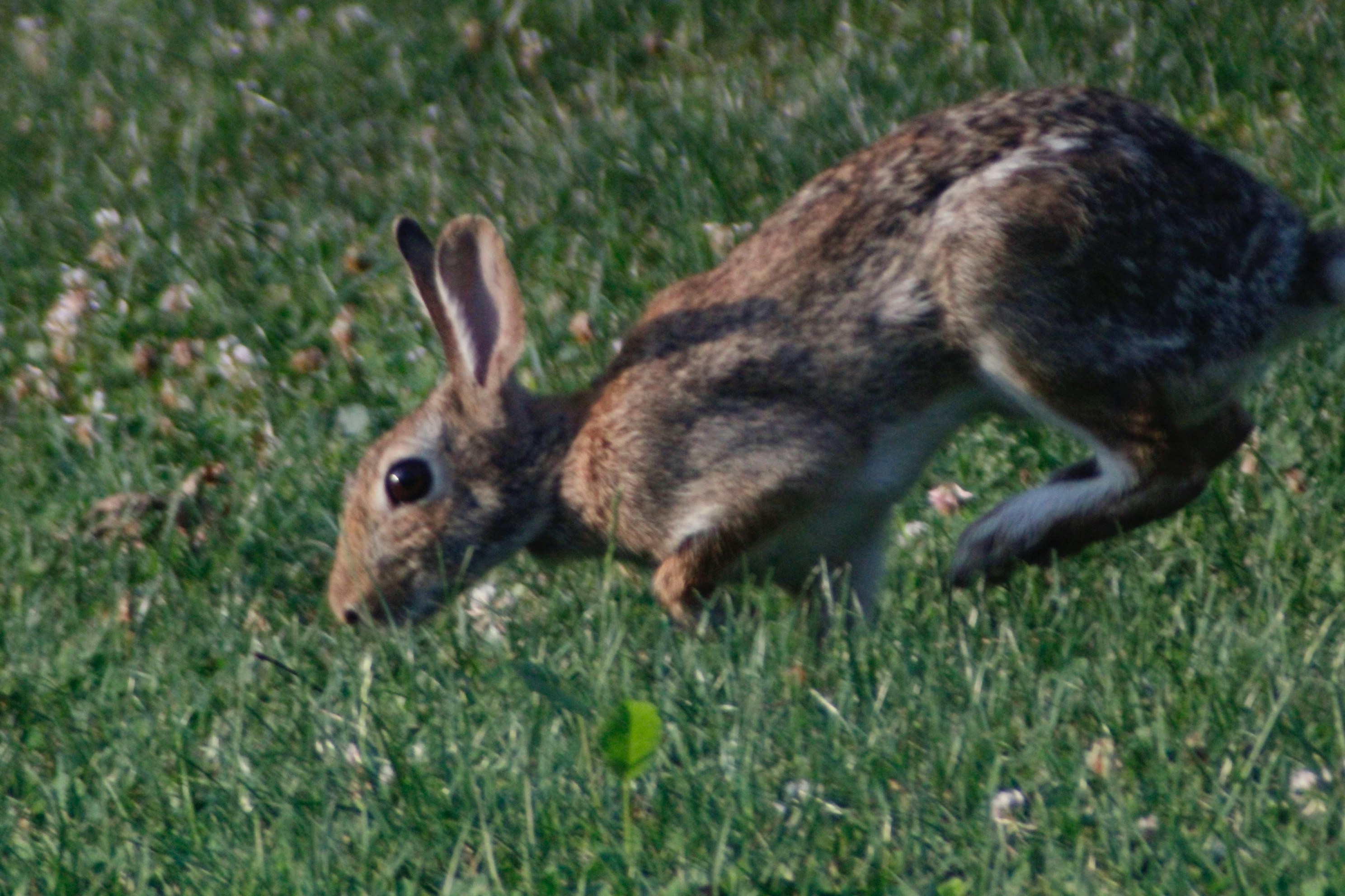 Photo by lisa_duqlaw