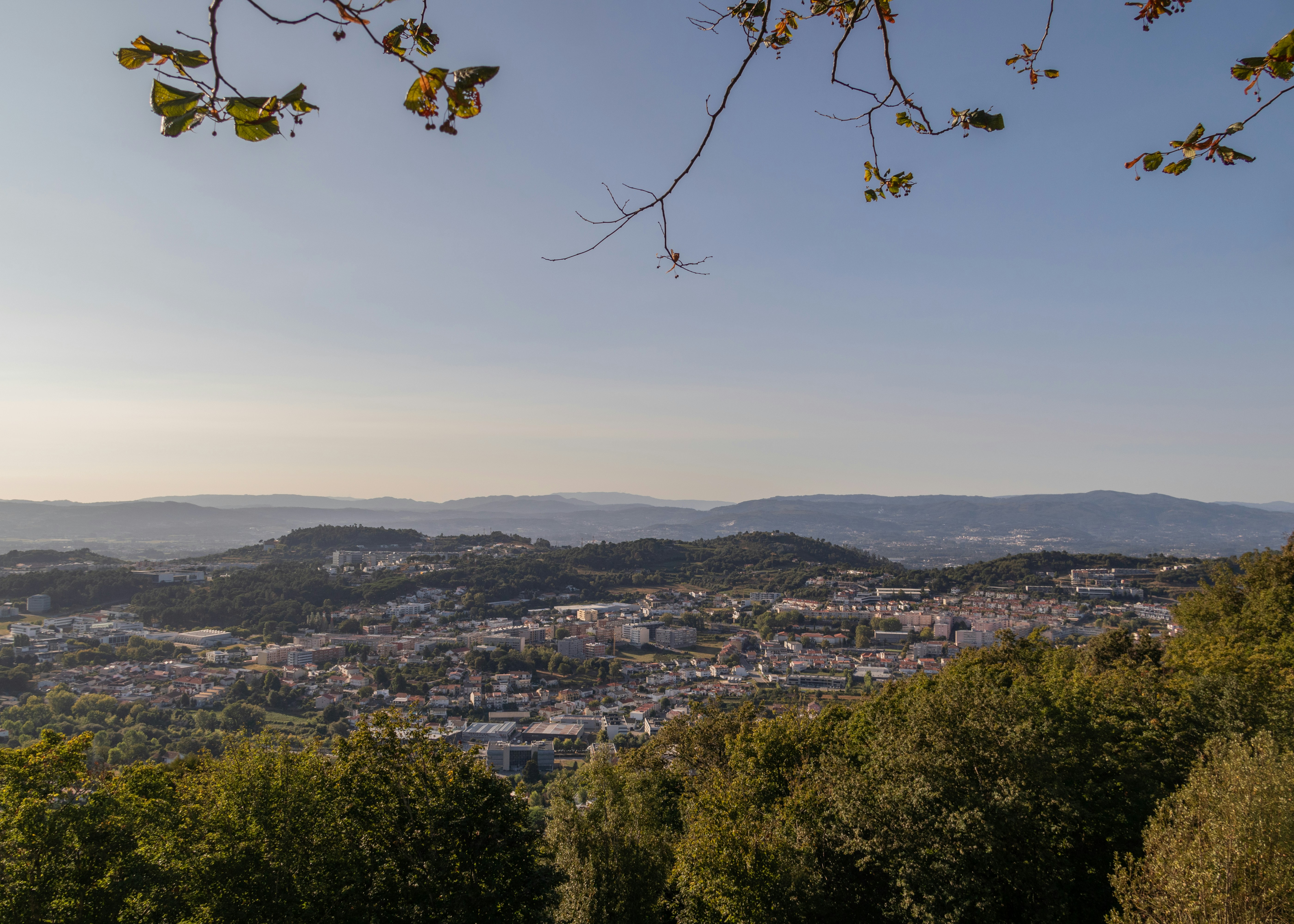 Photo by filipenobre