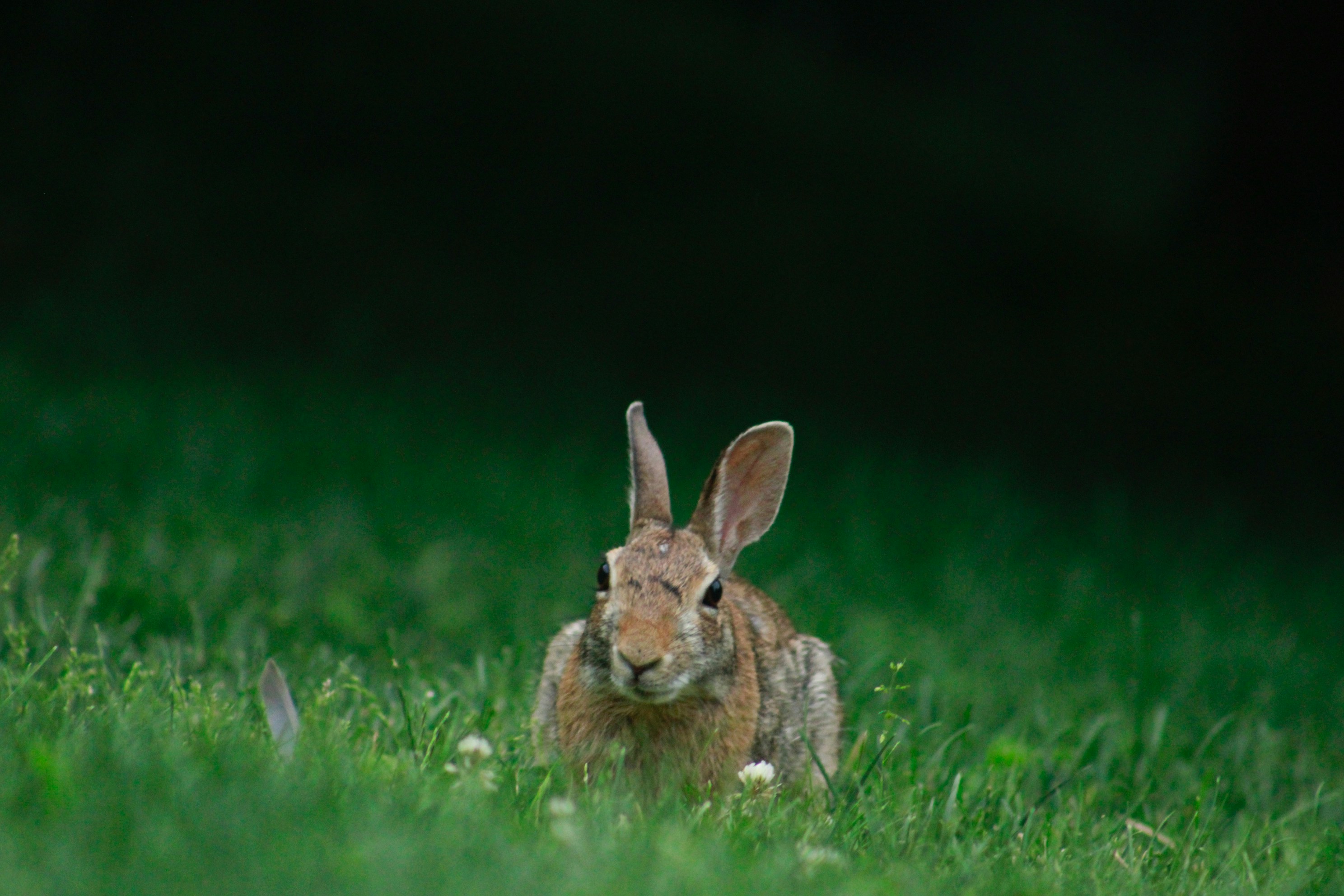 Photo by lisa_duqlaw