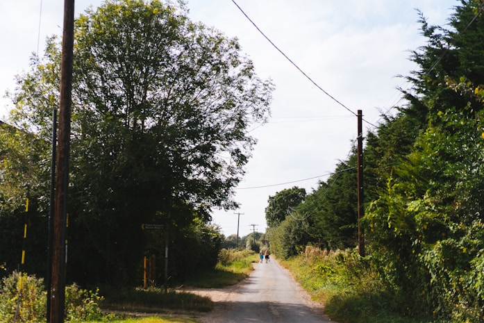 A dirt road surrounded by trees and power lines