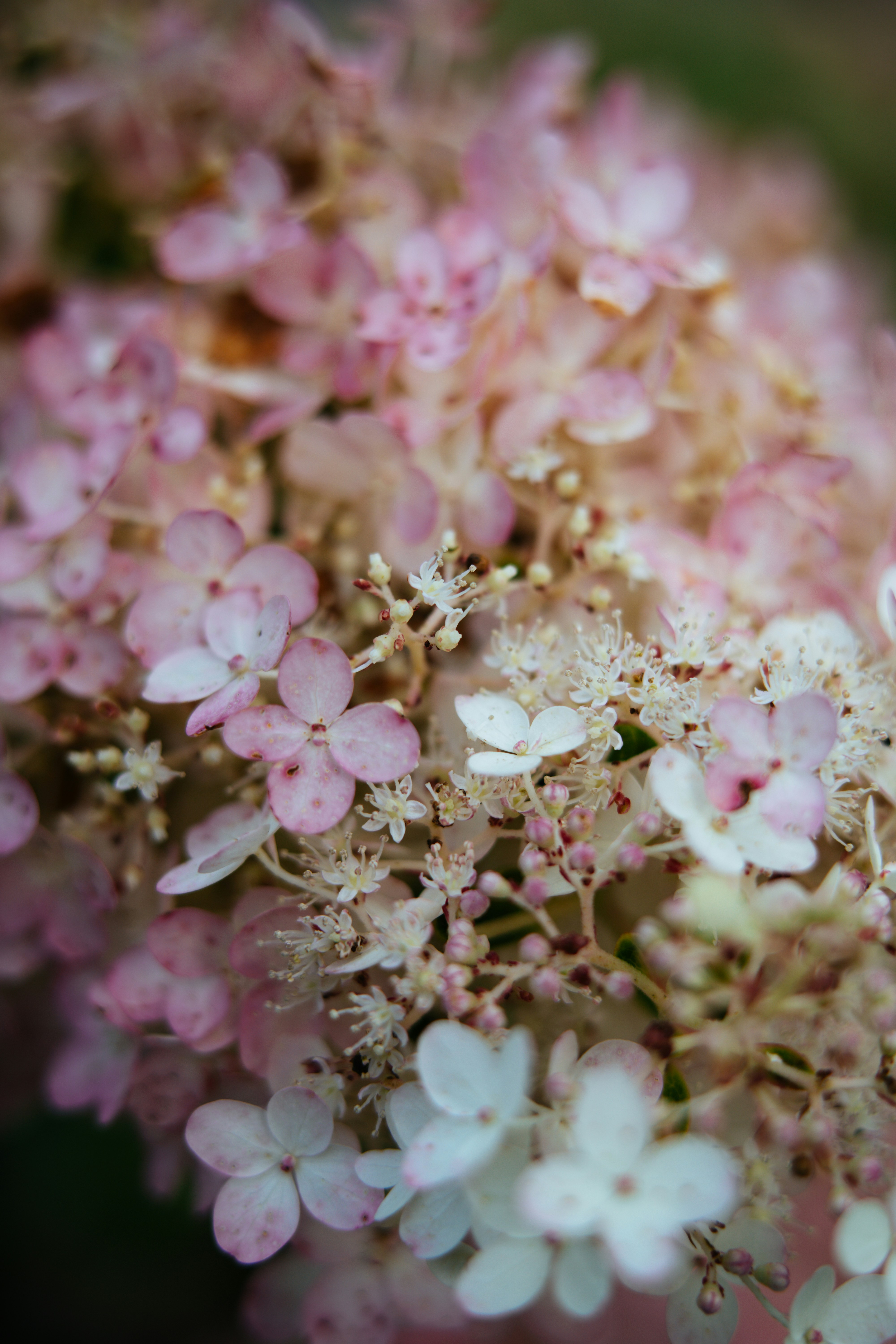 Photo by anamnesis33