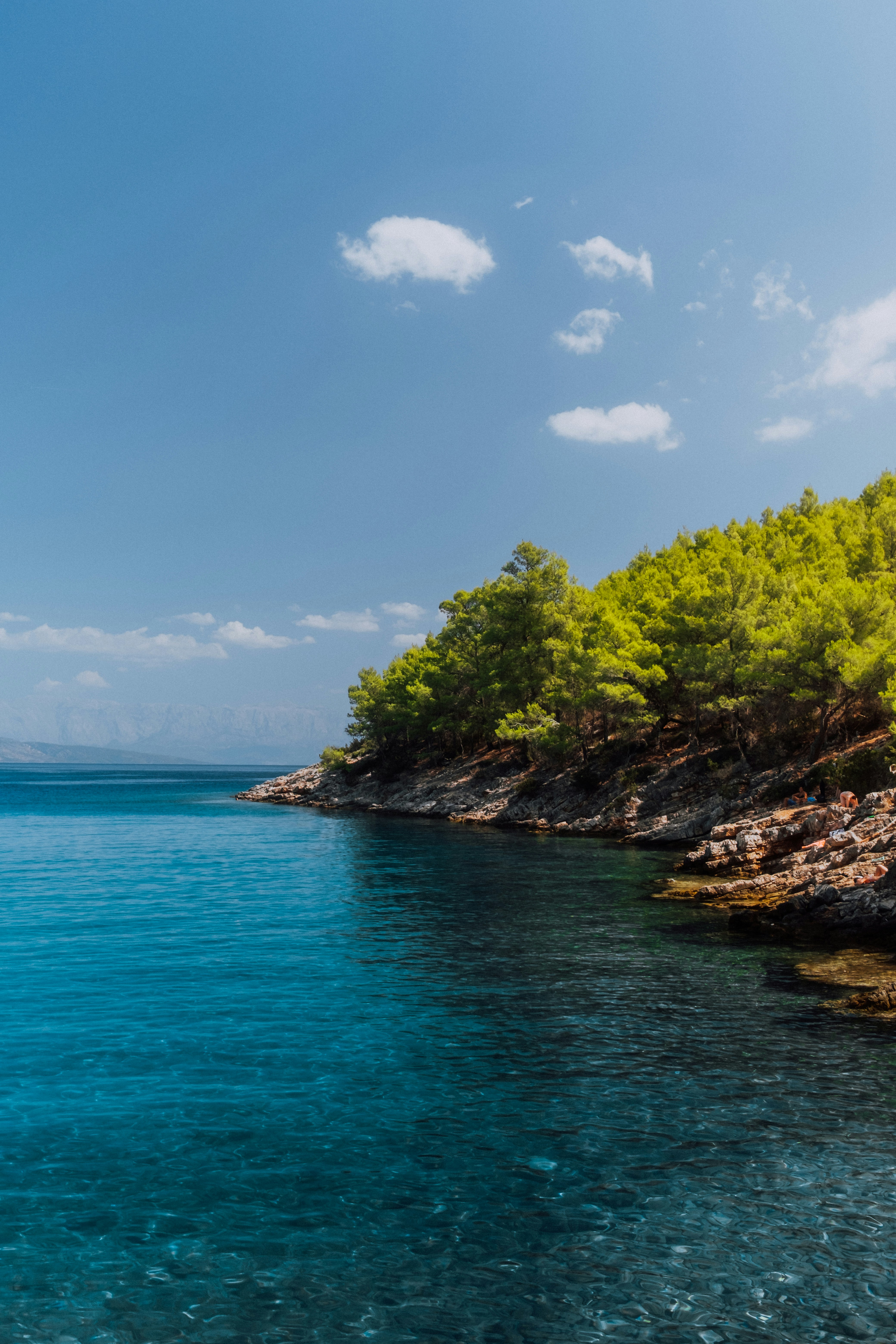 Photo by martinkatler