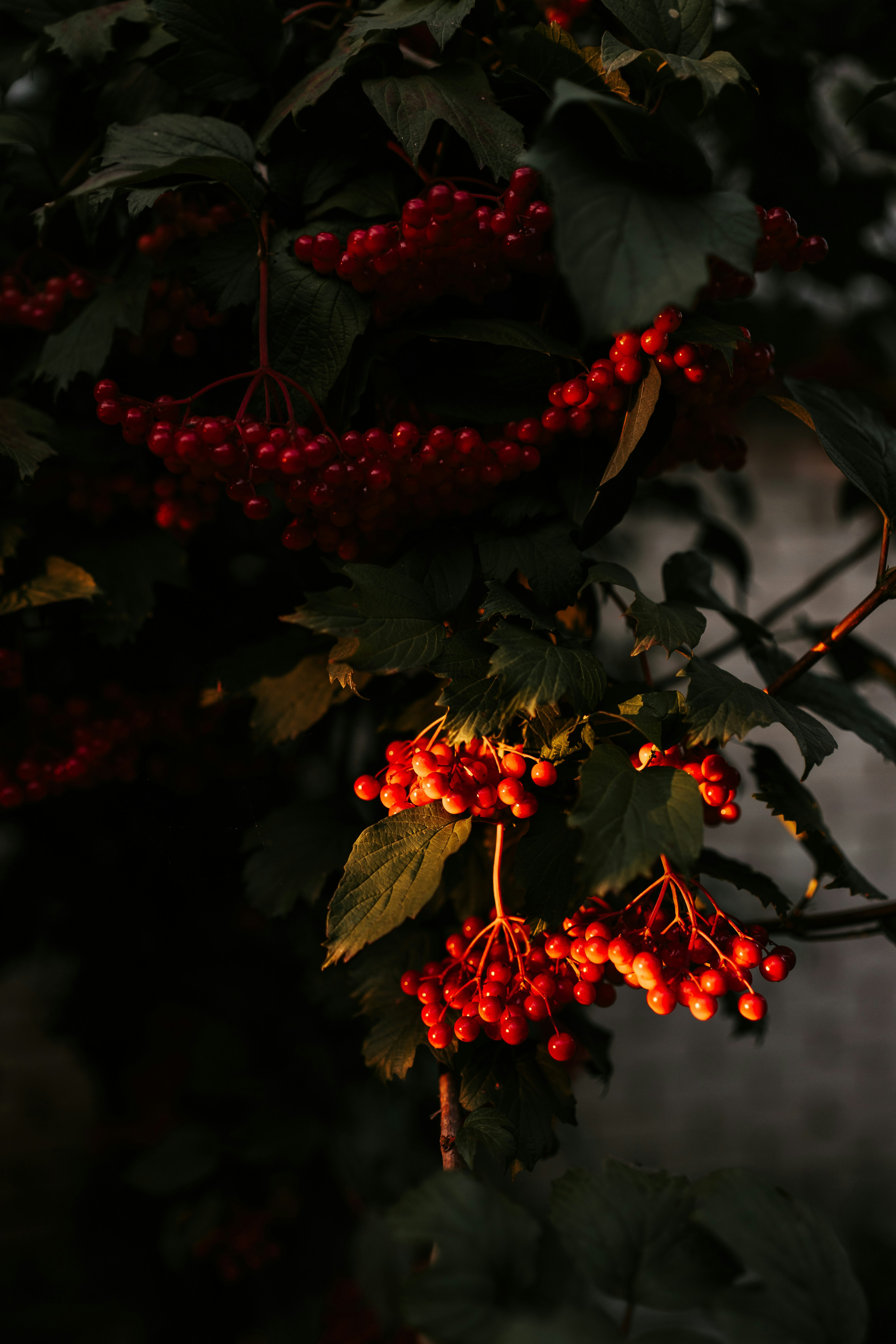 Photo by iriser