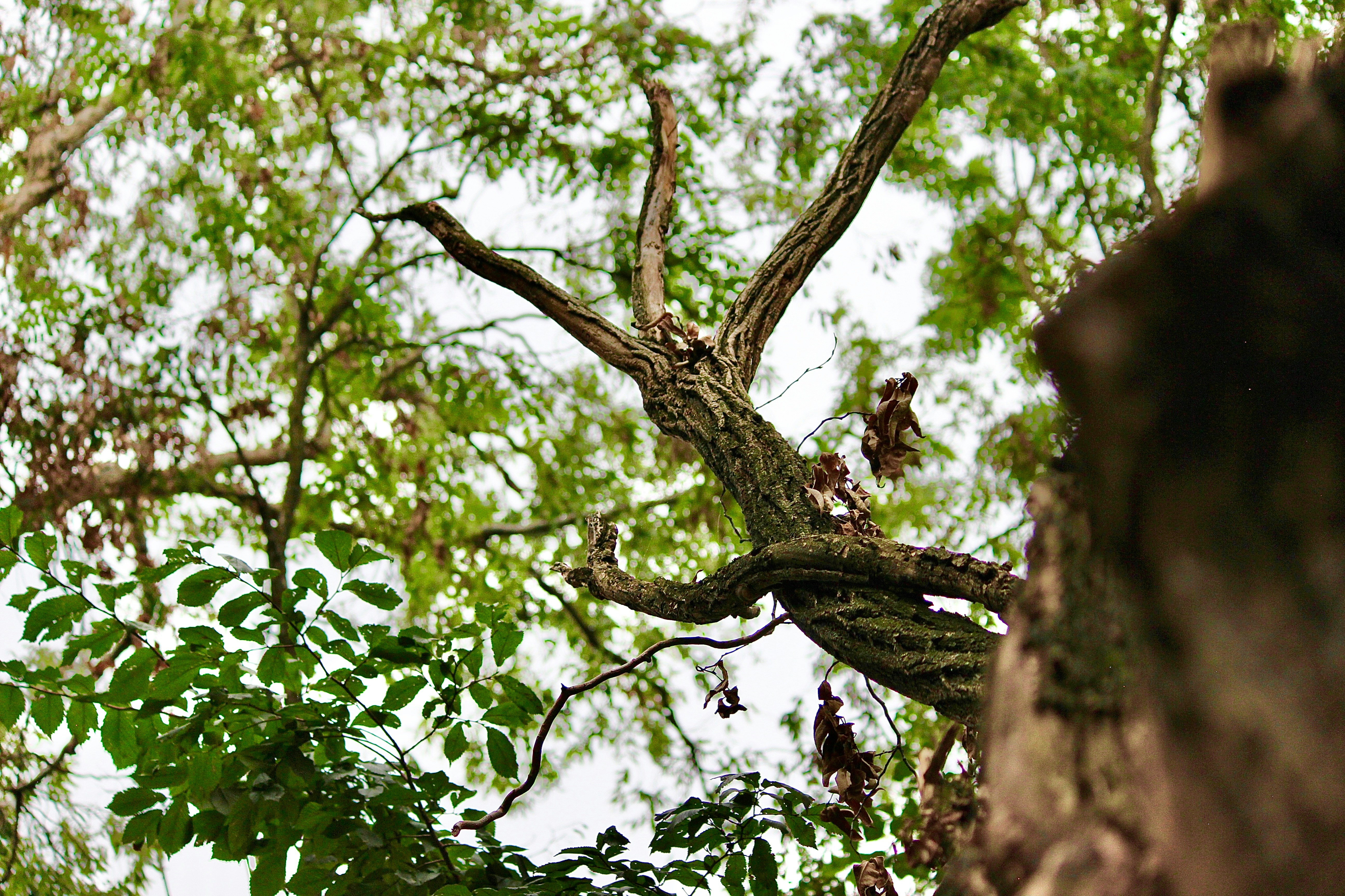 Photo by fotografialuivlad