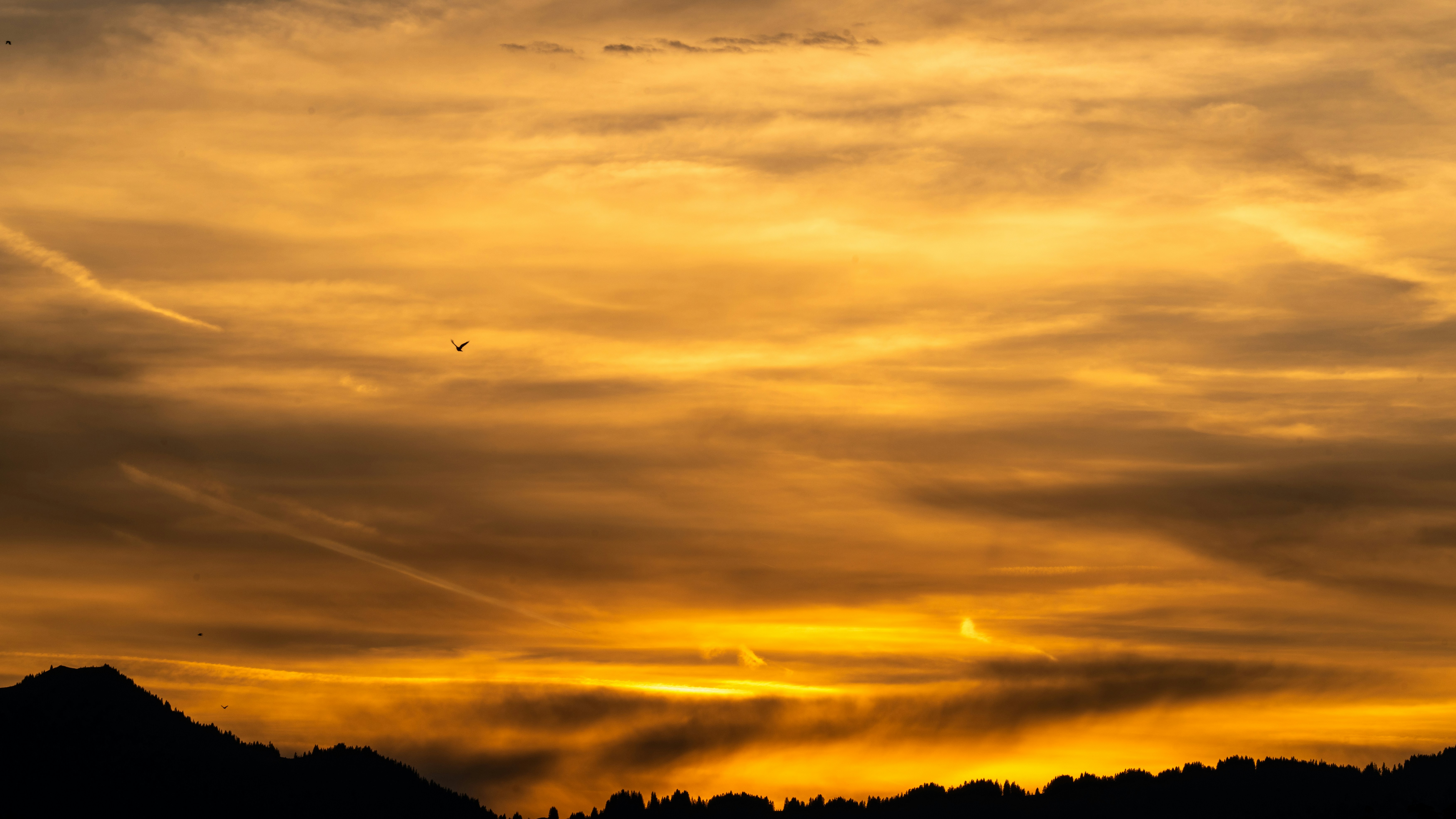 Micro-SaaS Solutions for Growth