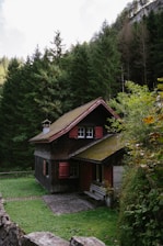 A small house in the middle of a forest