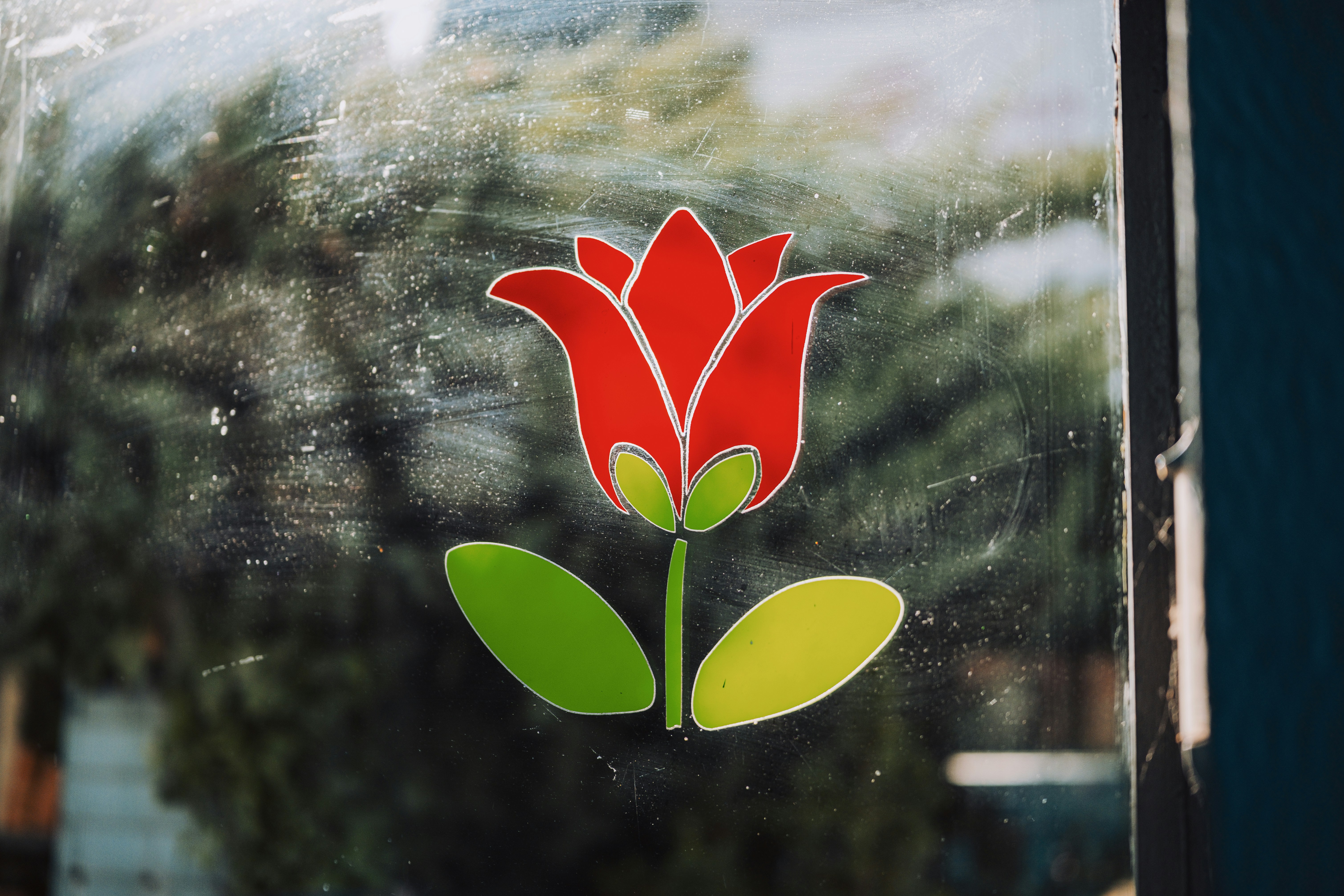 A red flower sitting on top of a window