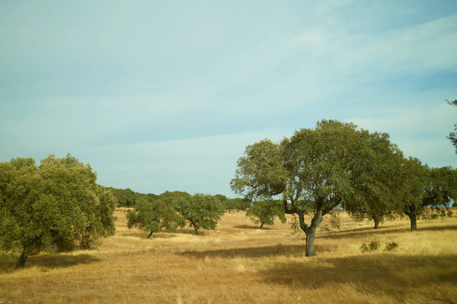 Alentejo, Portugal — luxury villa destination