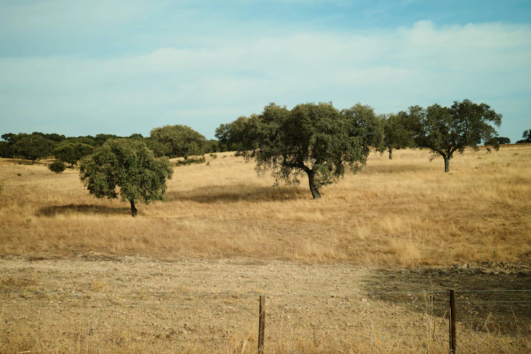 Alentejo