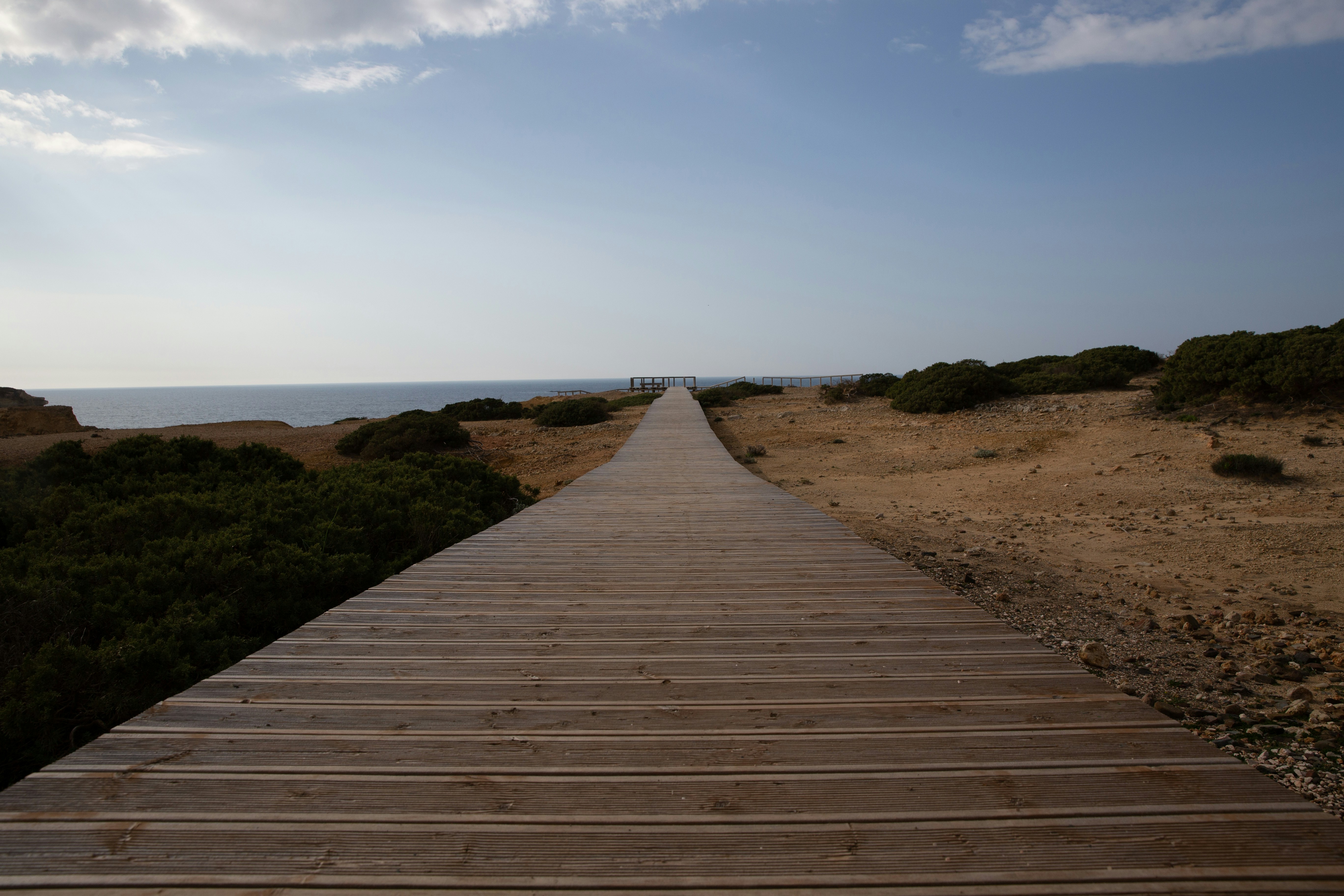 A wooden walkway leading to the ocean on a sunny day