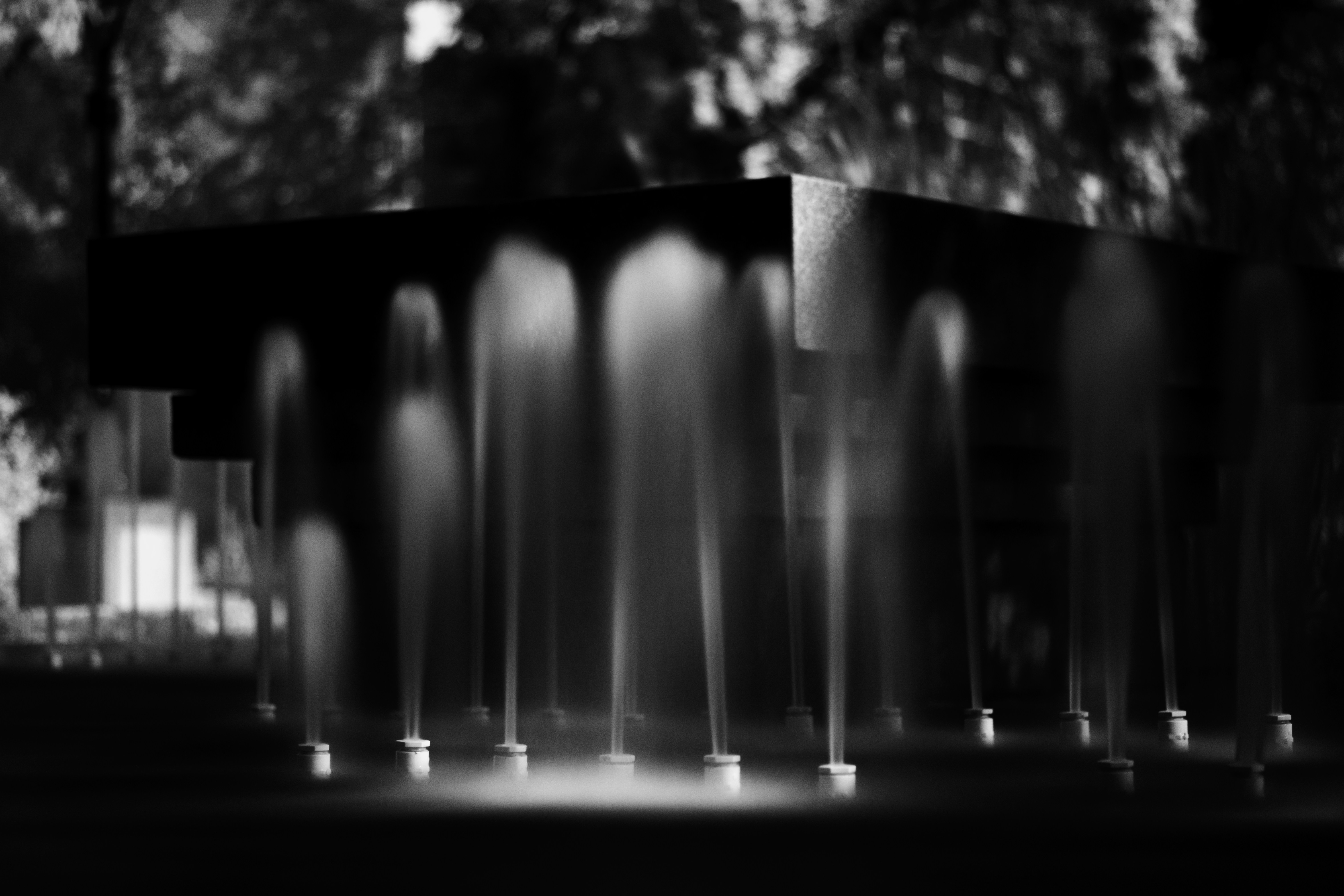 Photo by junior_hector