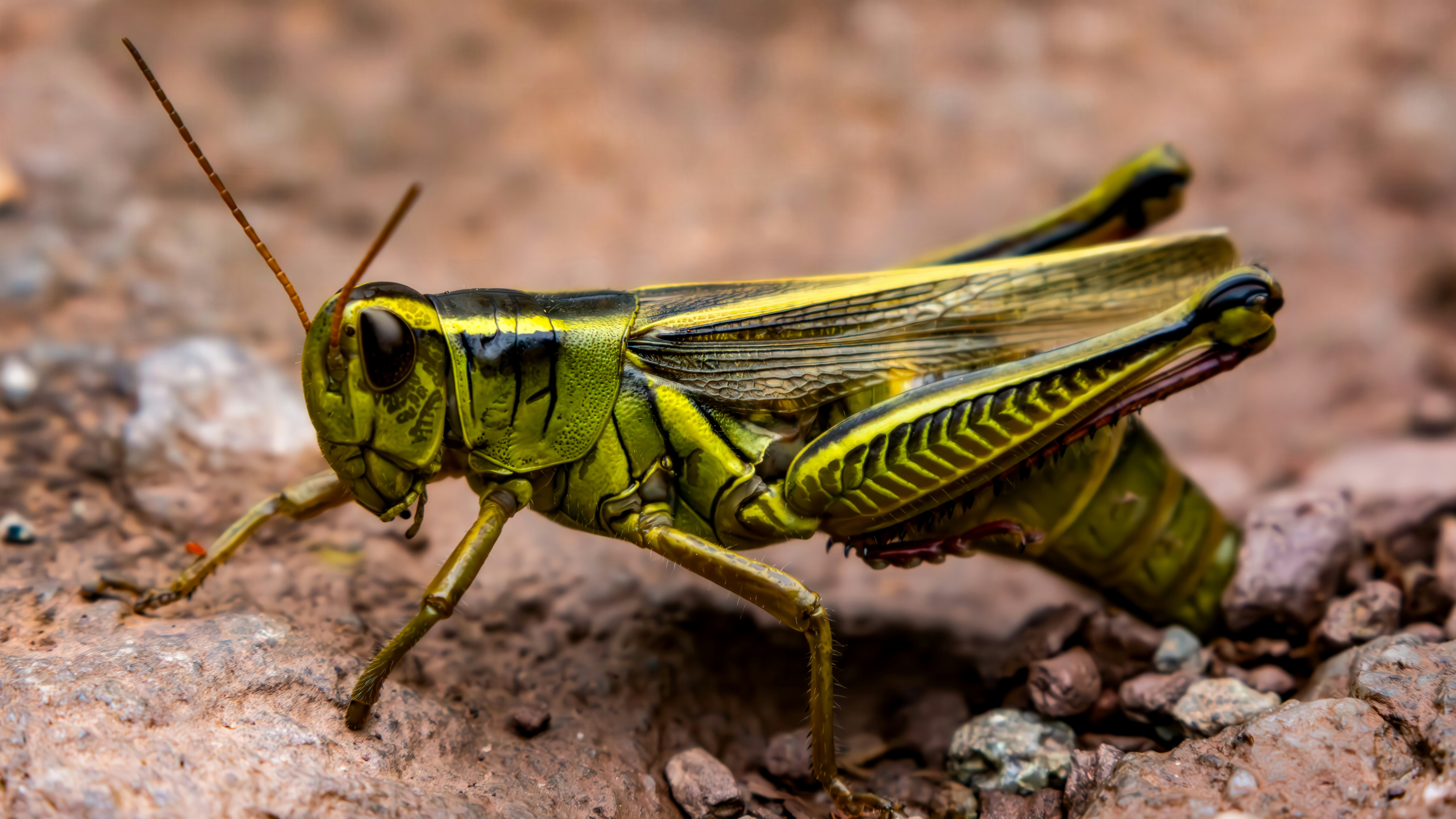 Photo by peterbbryan