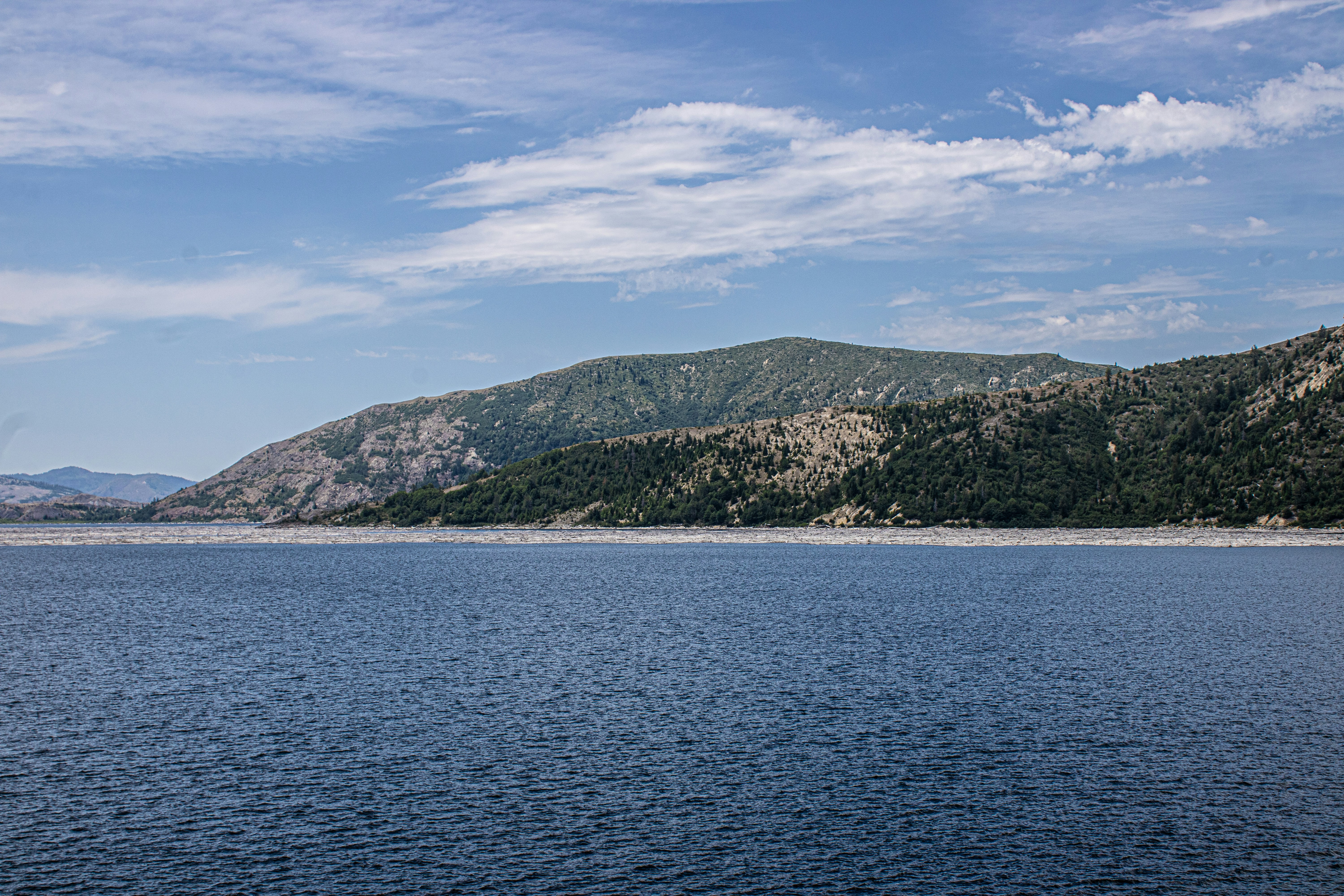 Photo by prphotography262