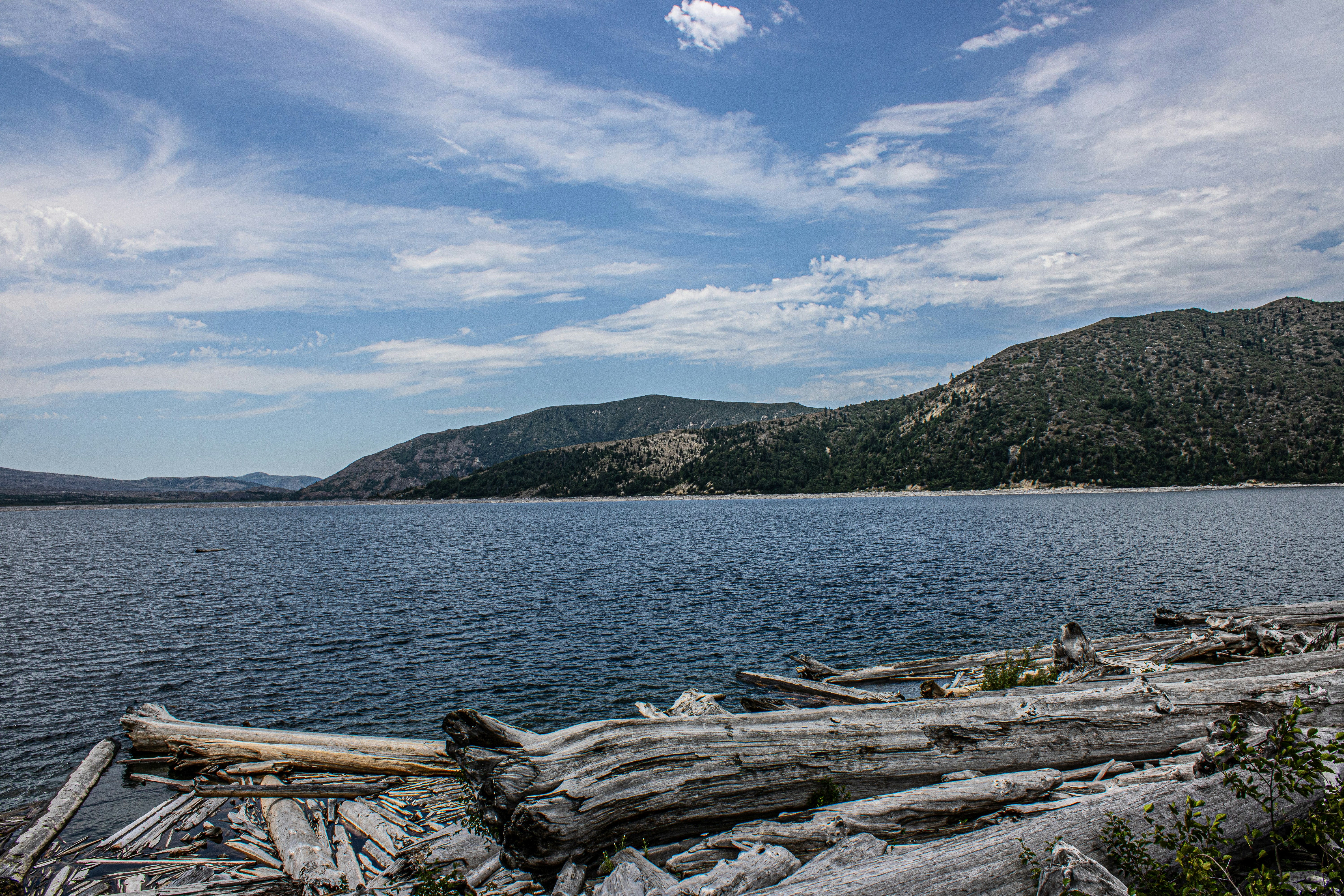 Photo by prphotography262