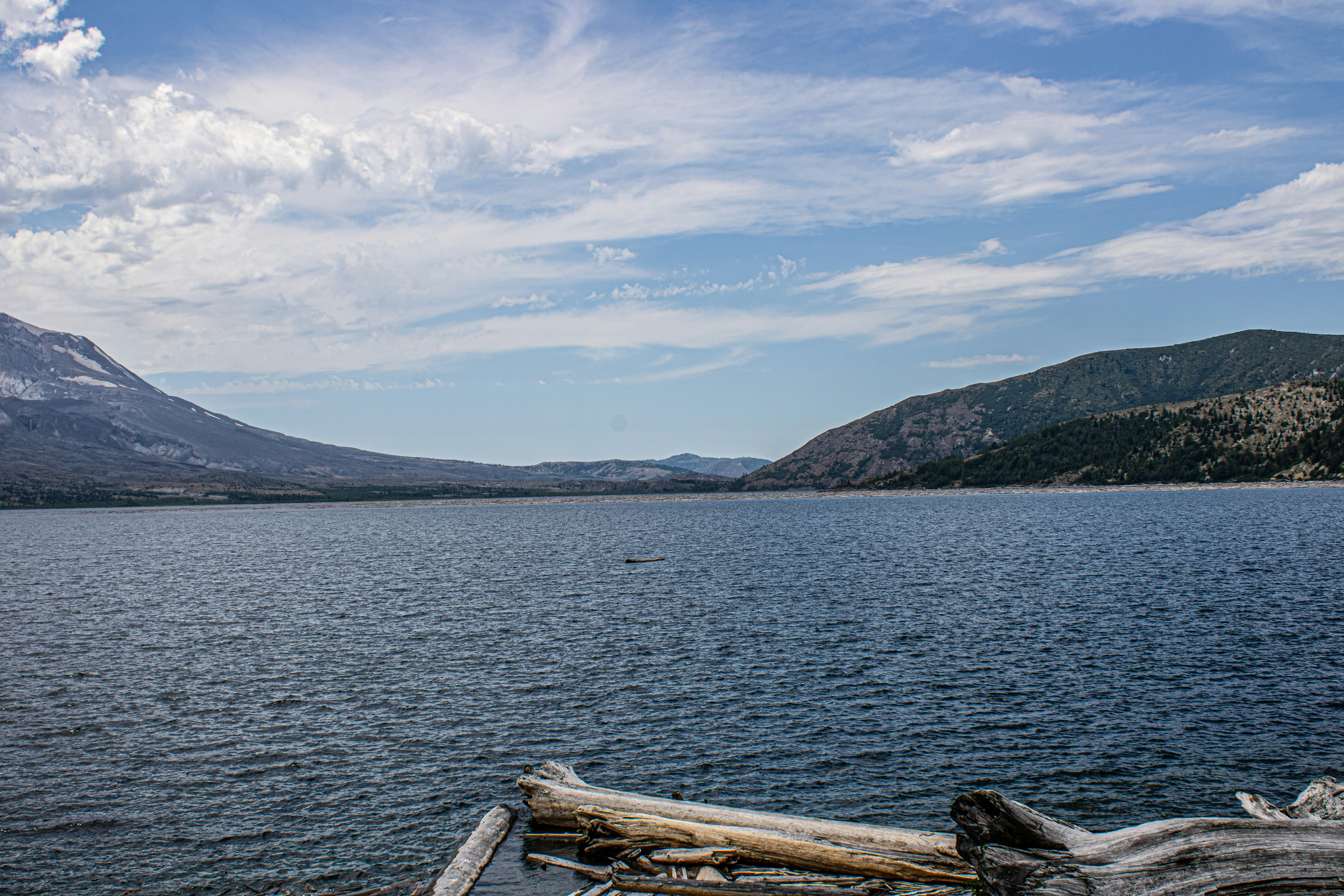 Photo by prphotography262