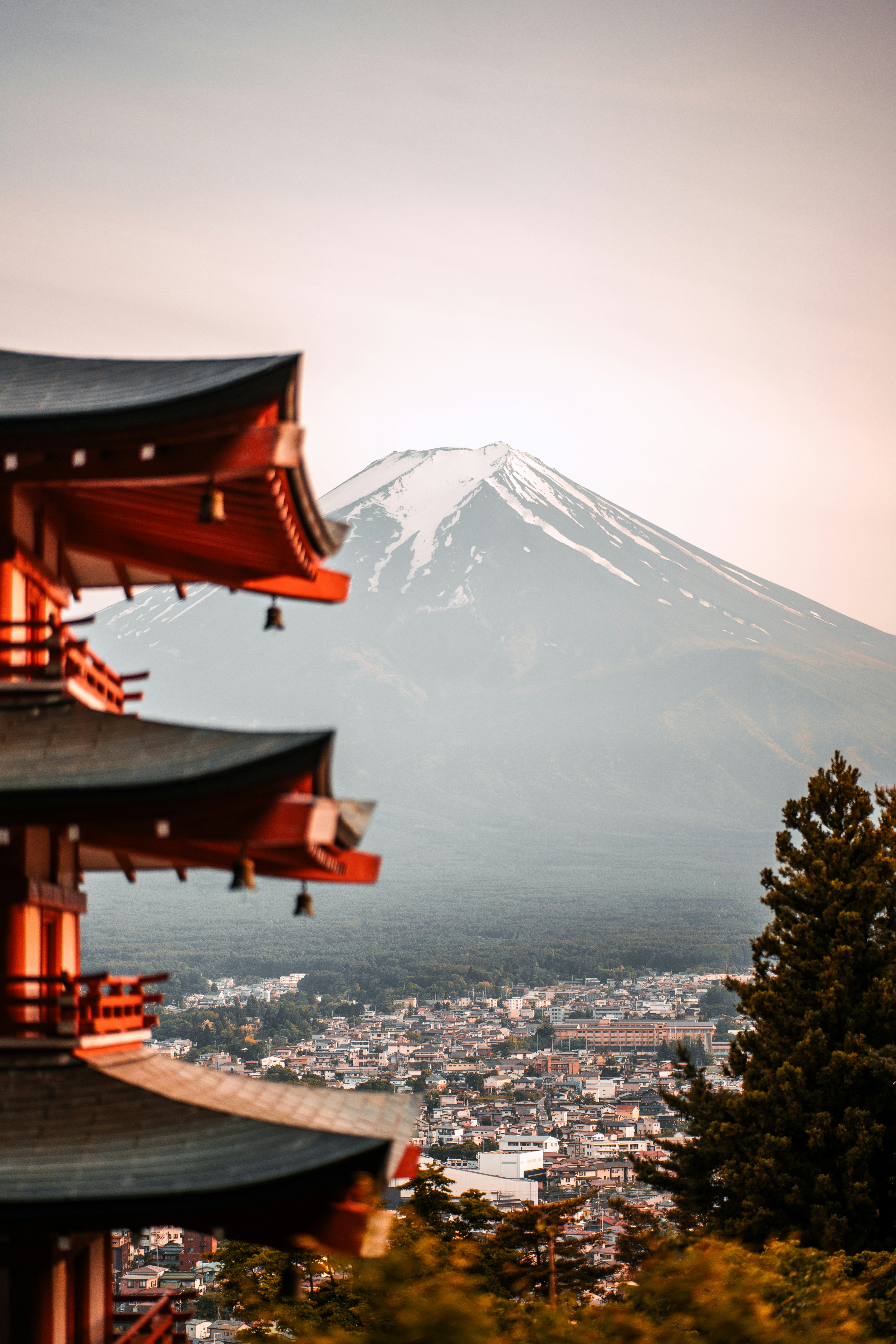 Photo by momentmediax