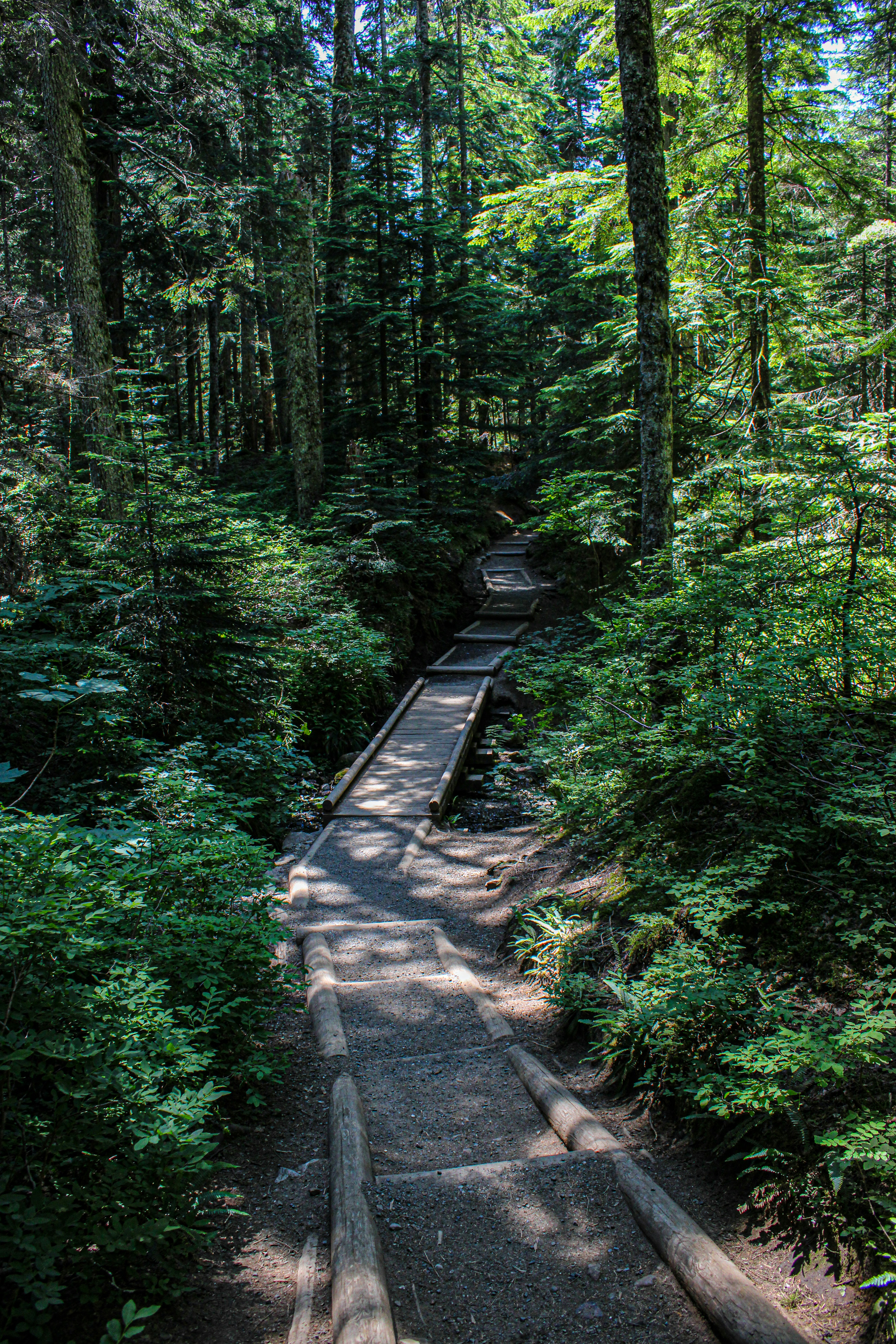 Photo by prphotography262