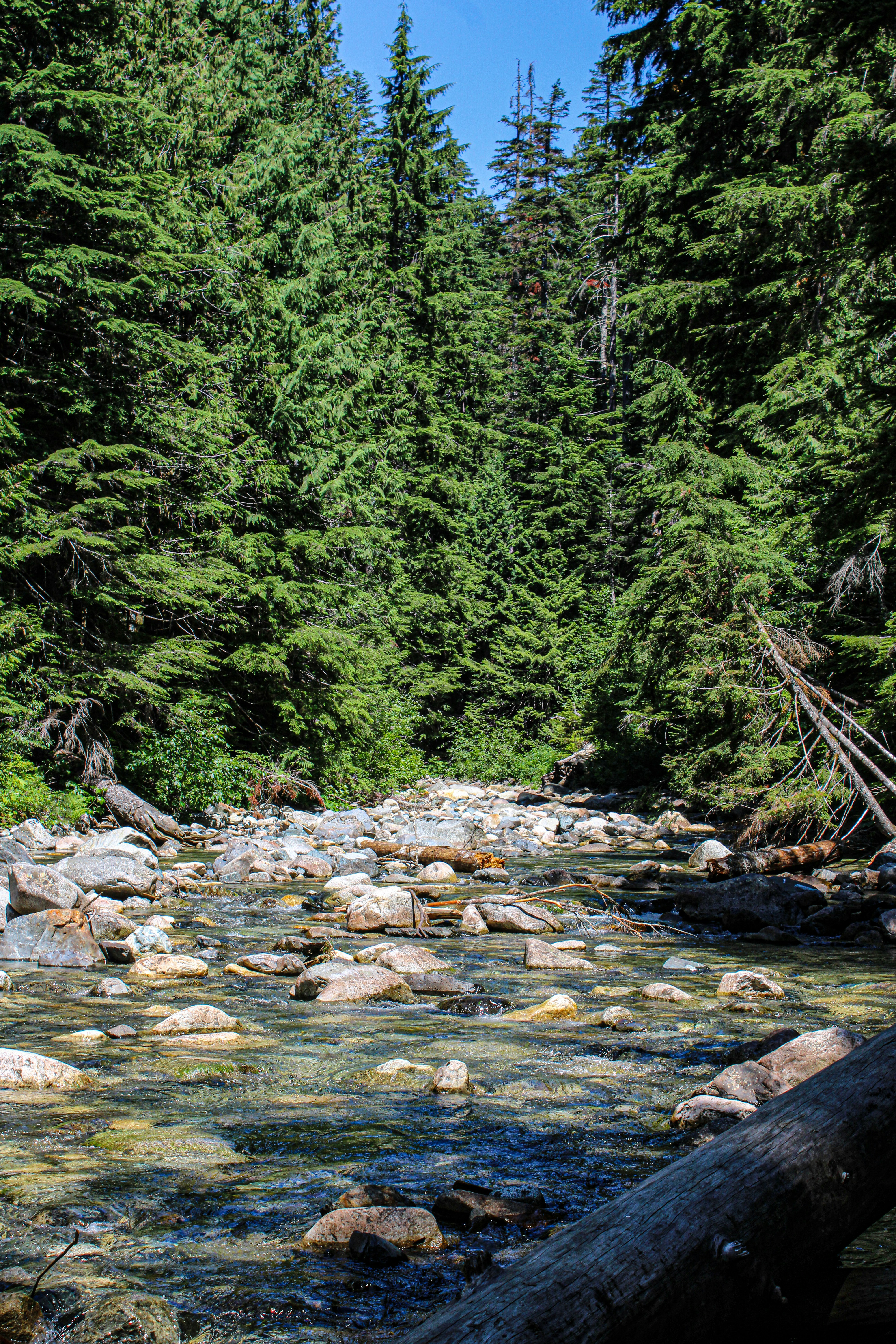 Photo by prphotography262