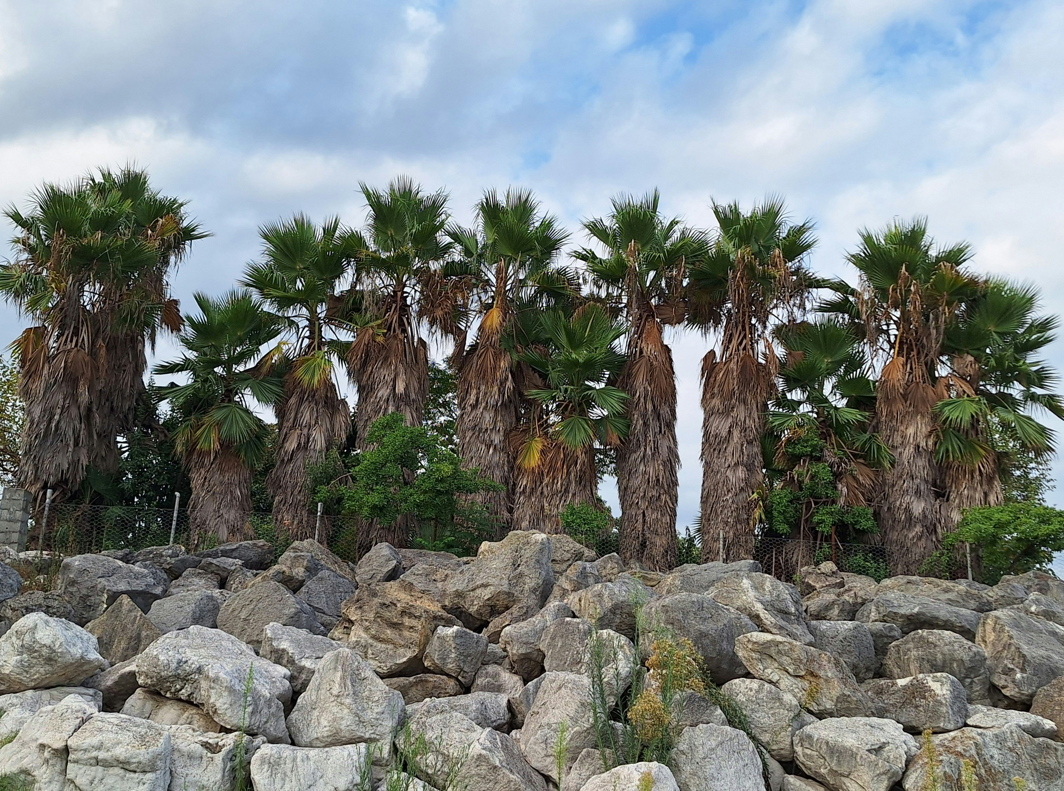 Photo by ali_sheikh_b