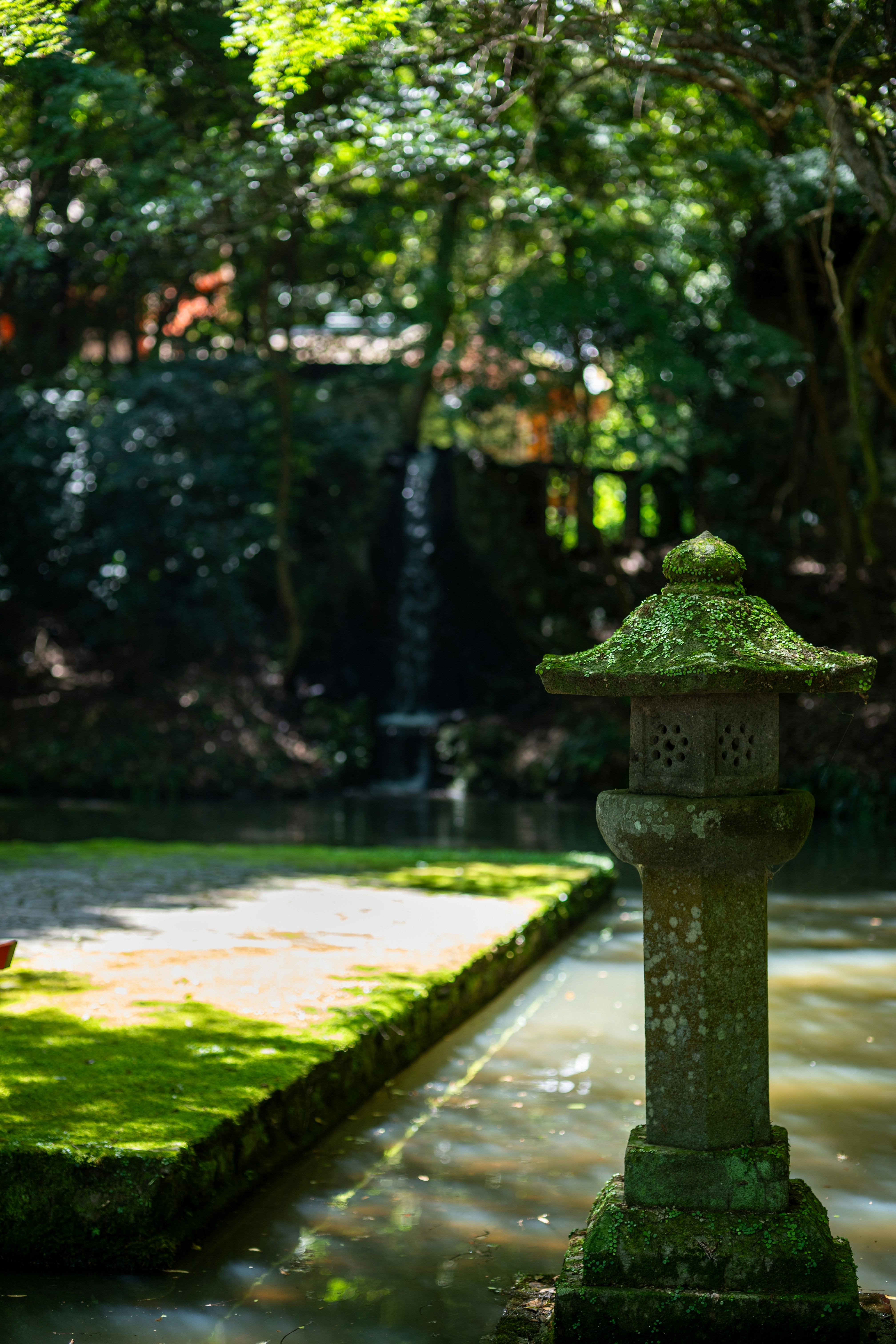 Photo by pafuxu