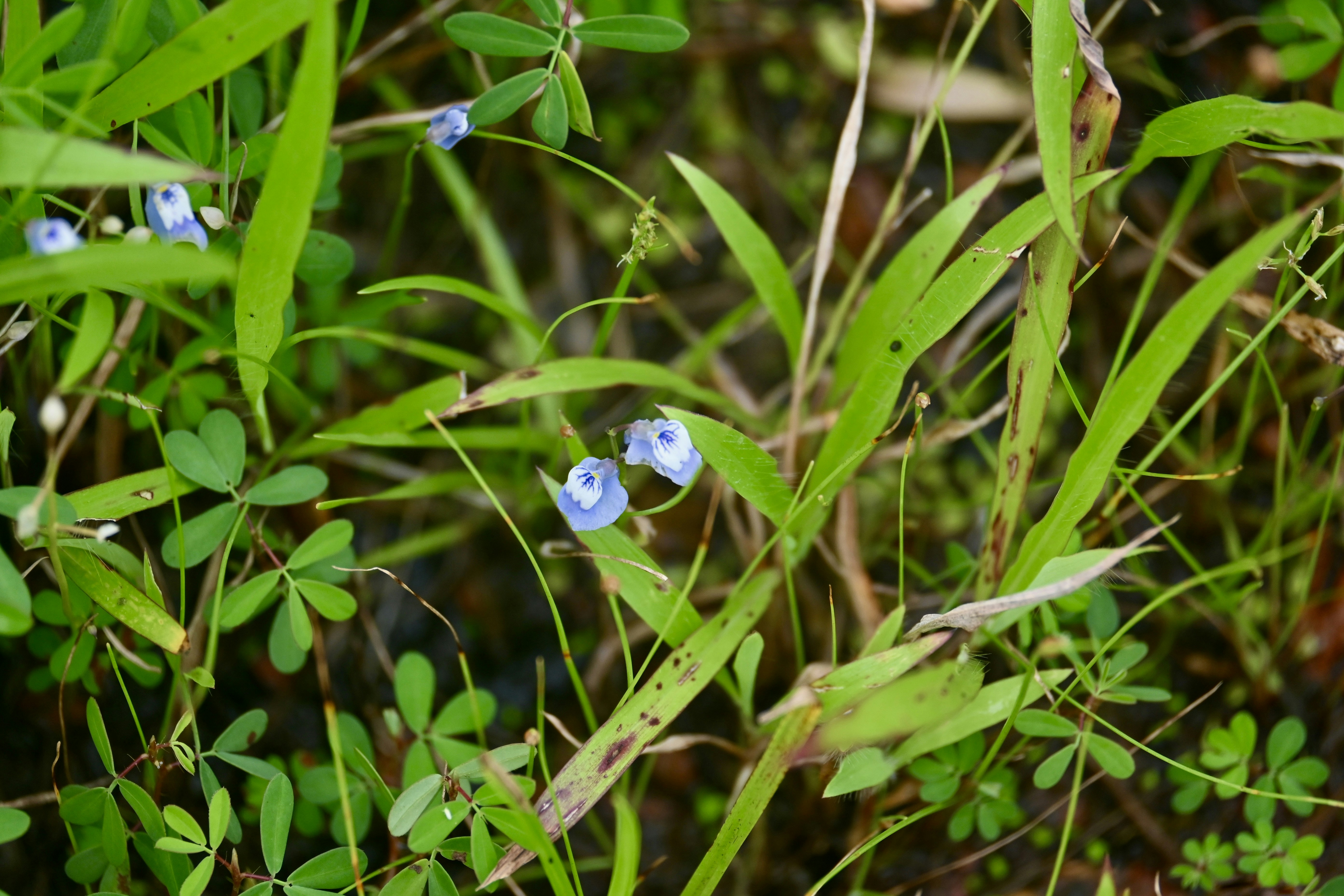 Photo by praswinprakashan