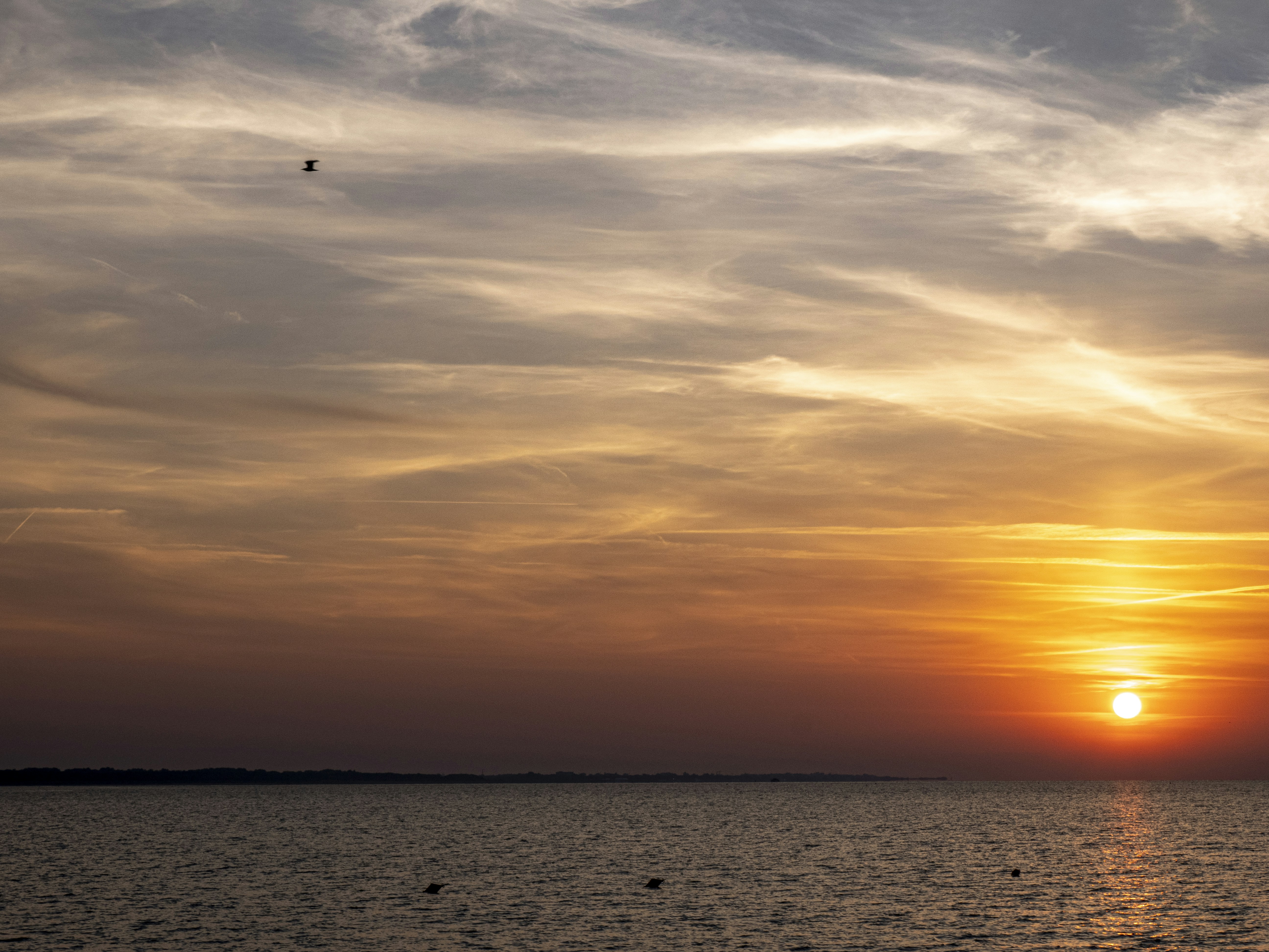 Photo by gopitri_prem