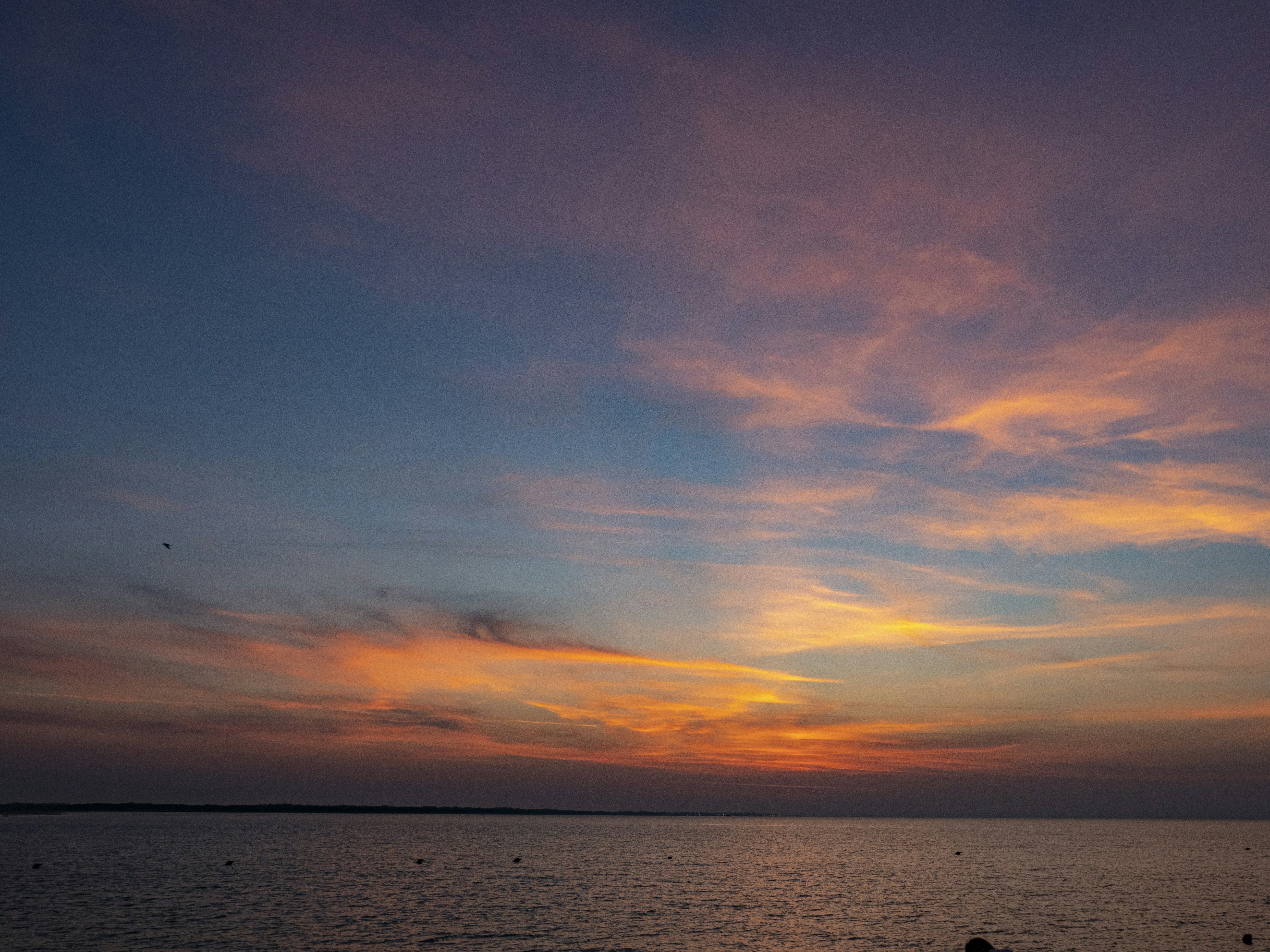 Photo by gopitri_prem