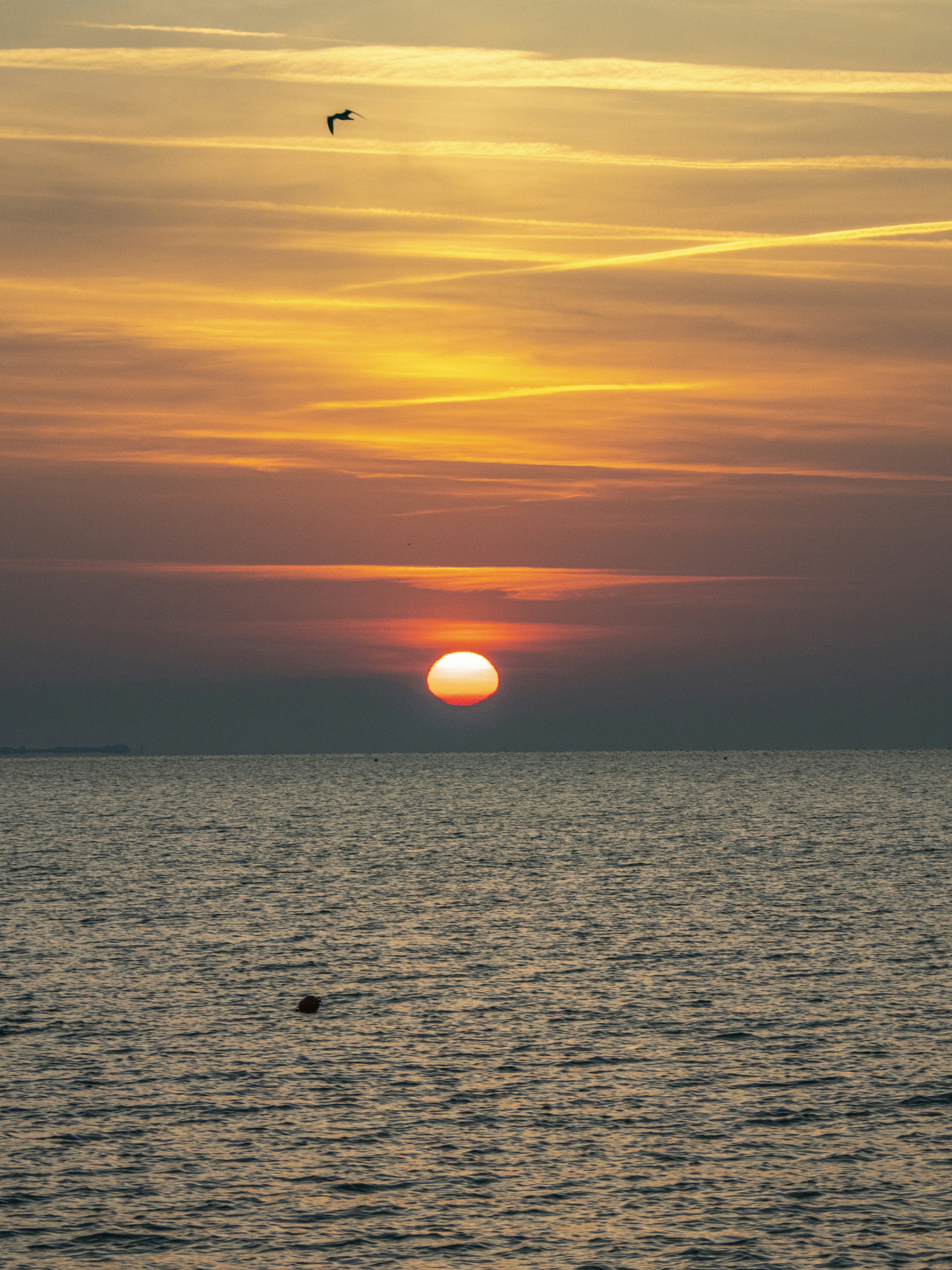 Photo by gopitri_prem