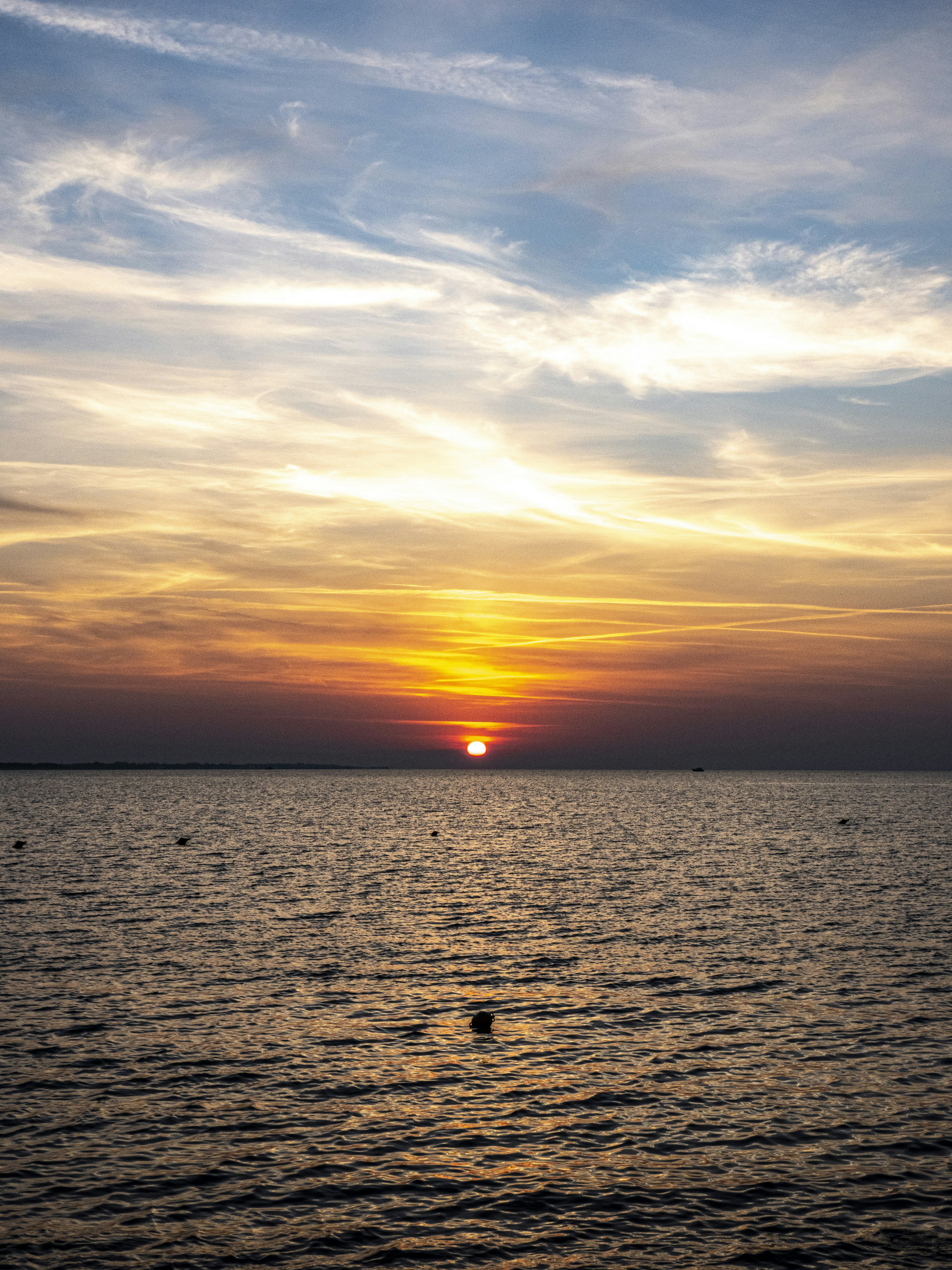 Photo by gopitri_prem