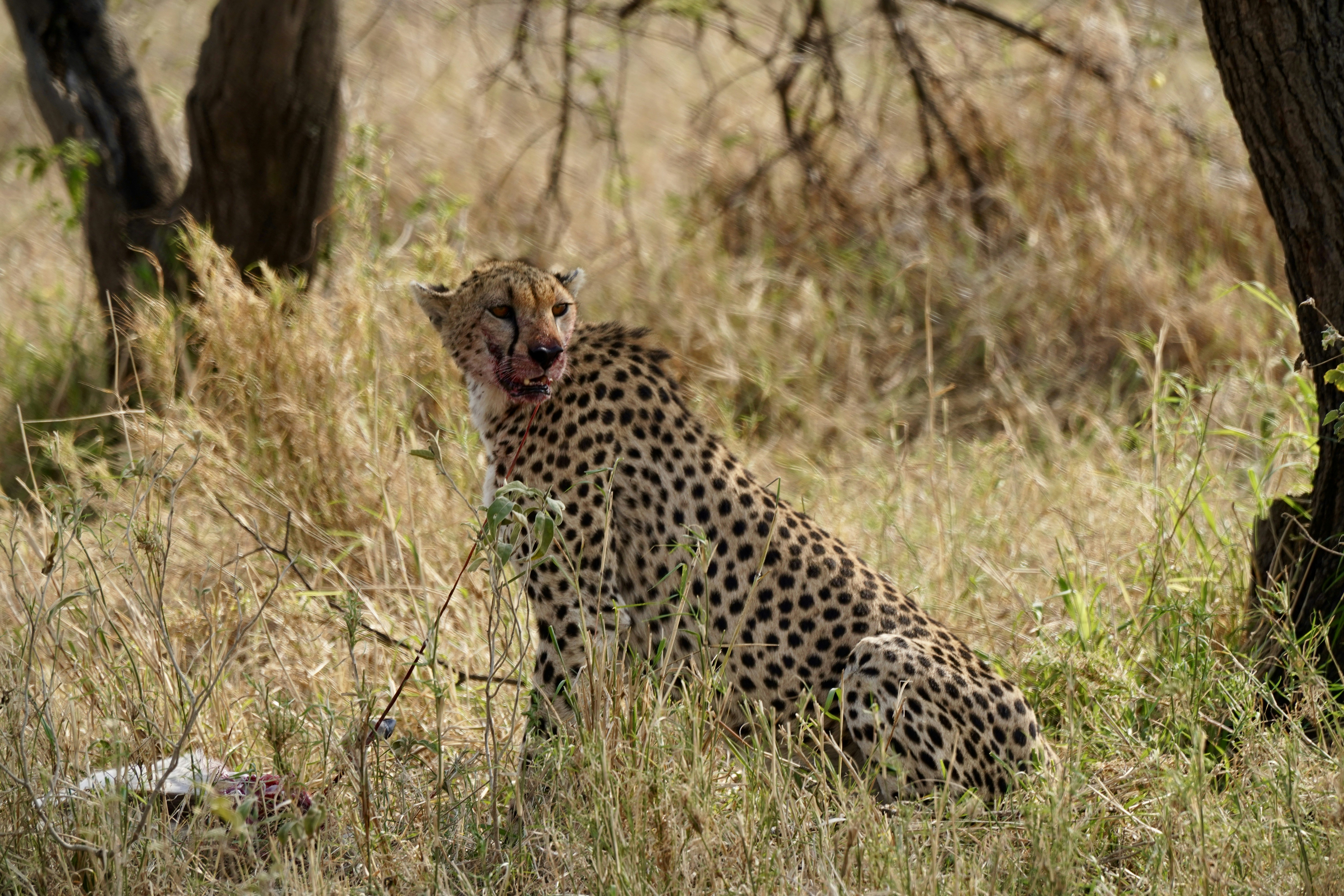 Photo by loloscott78