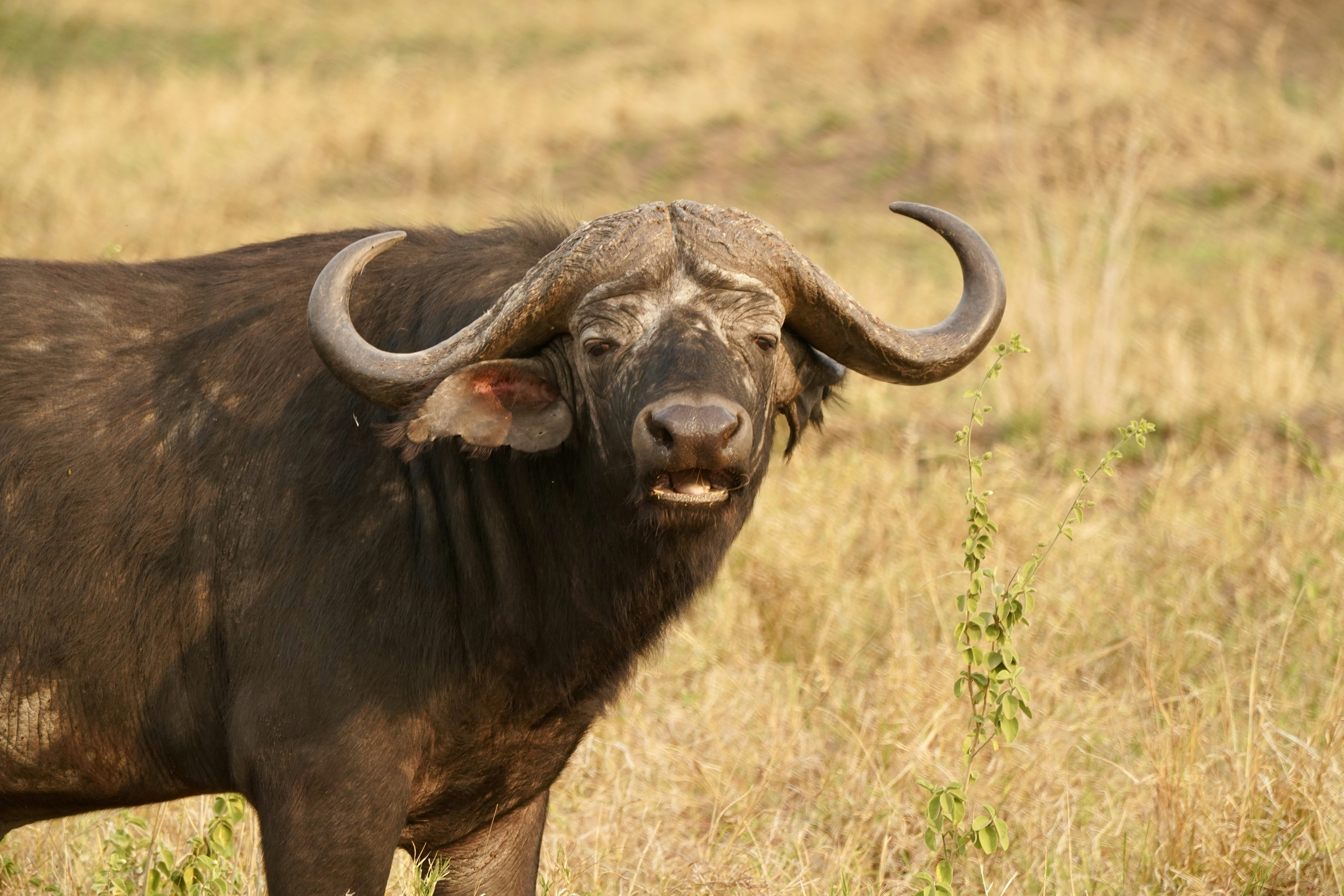 Photo by loloscott78