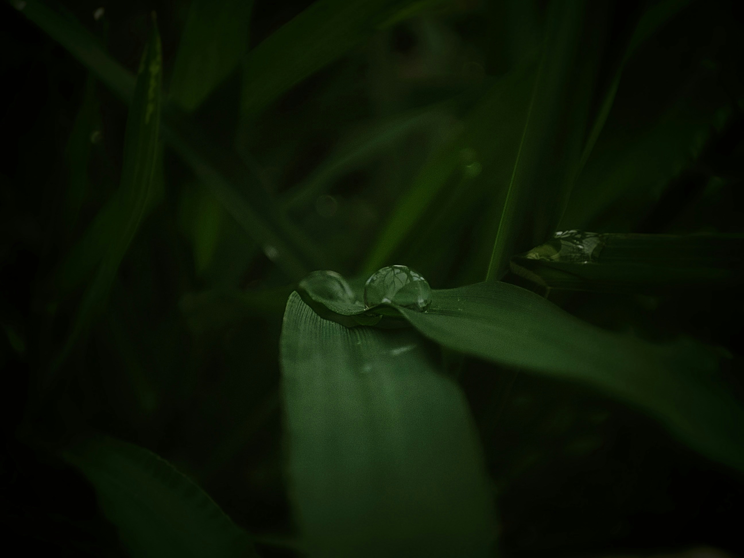 Flash Bundles & Microdrops: Advanced Playbook for Discount Sellers in 2026