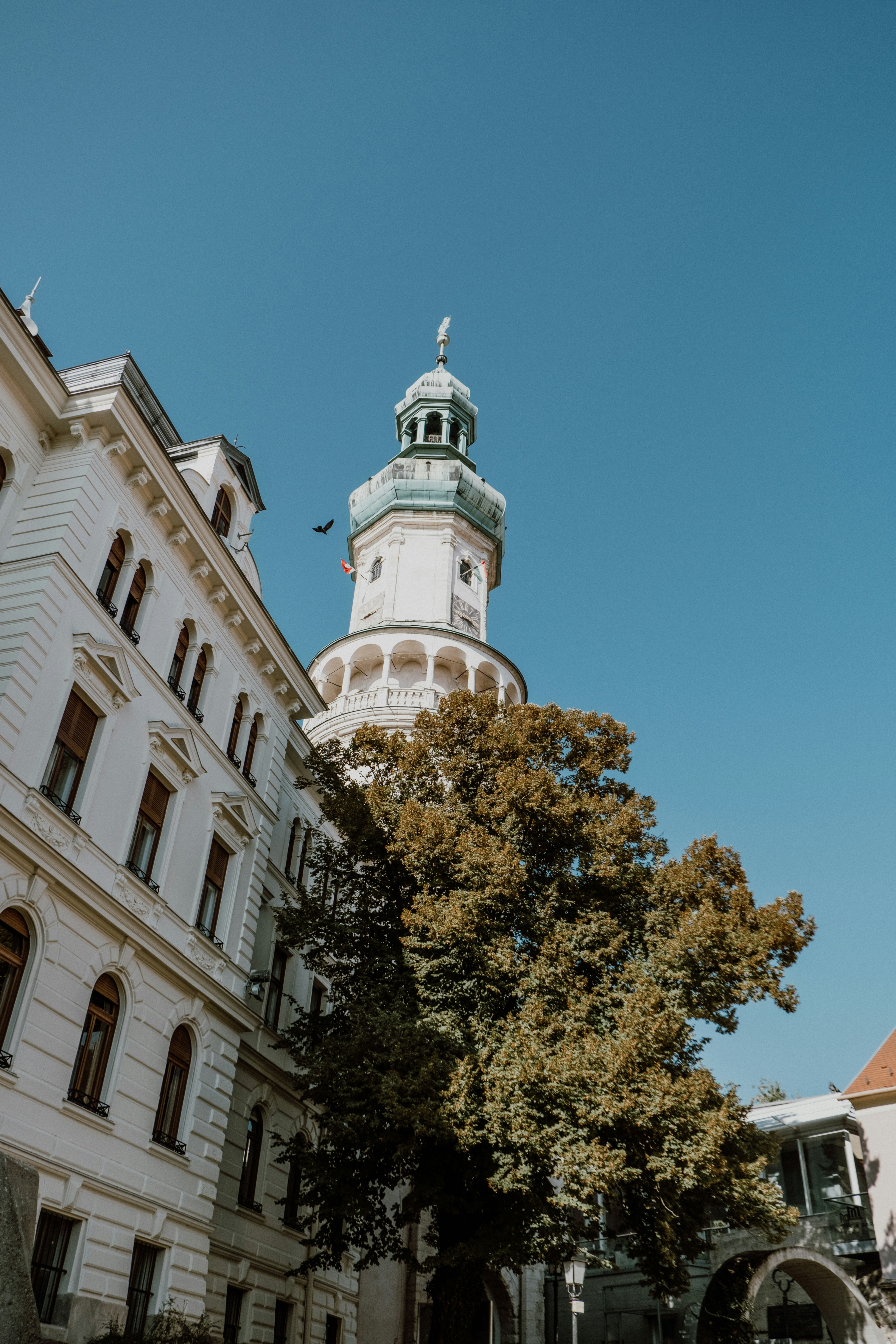 Sopron – Food & Dining Culture