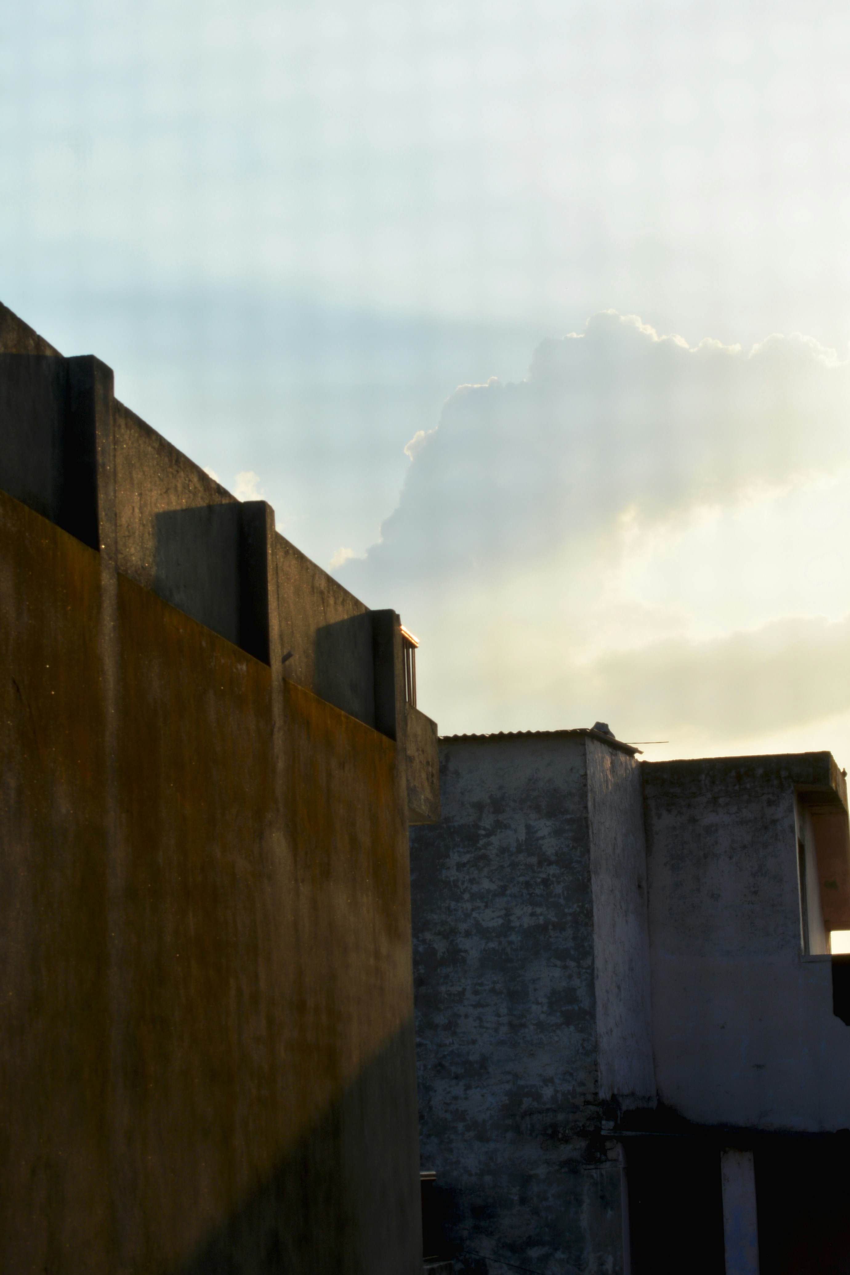 Photo by advaya_mahanot