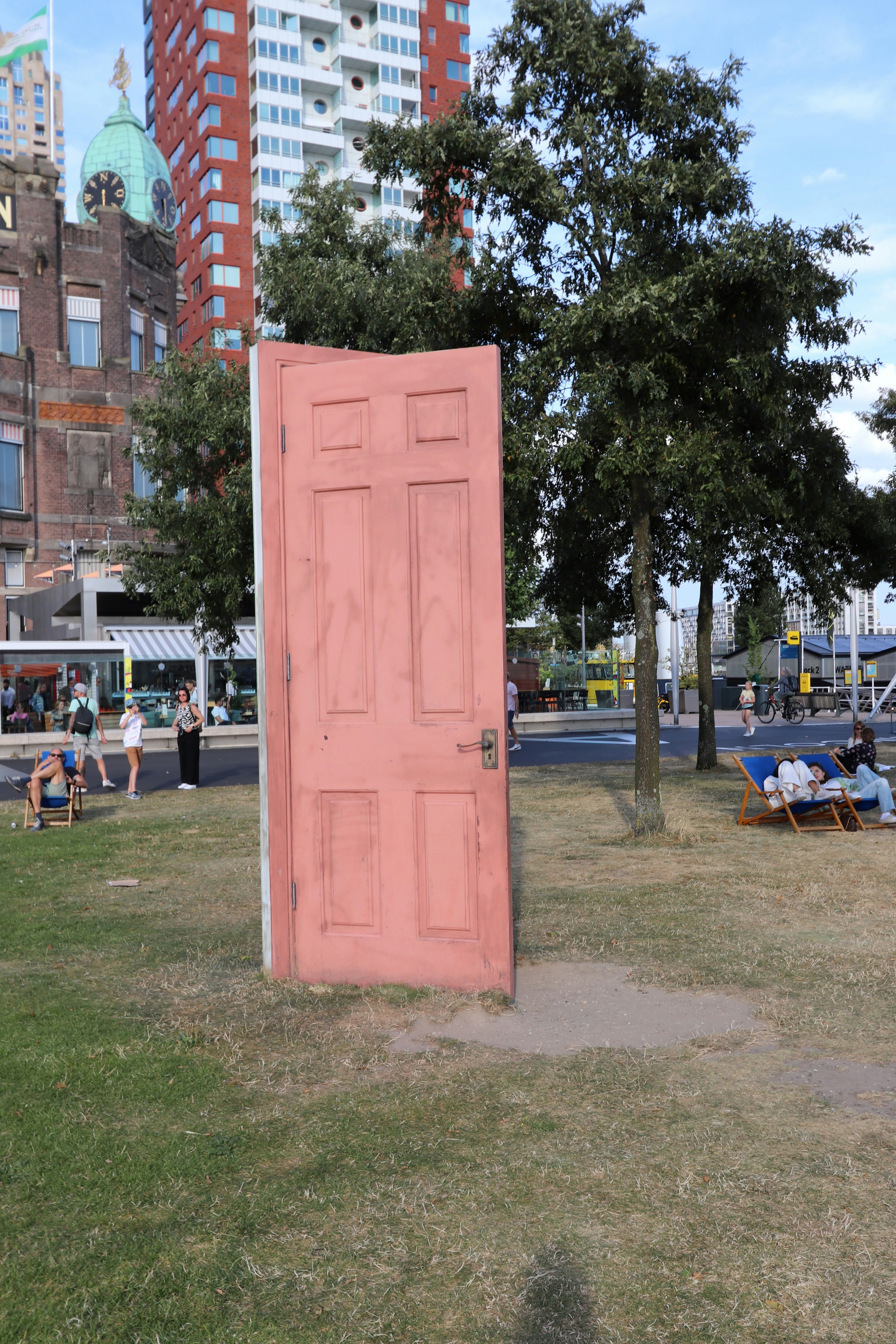 A pink door sitting in the middle of a park