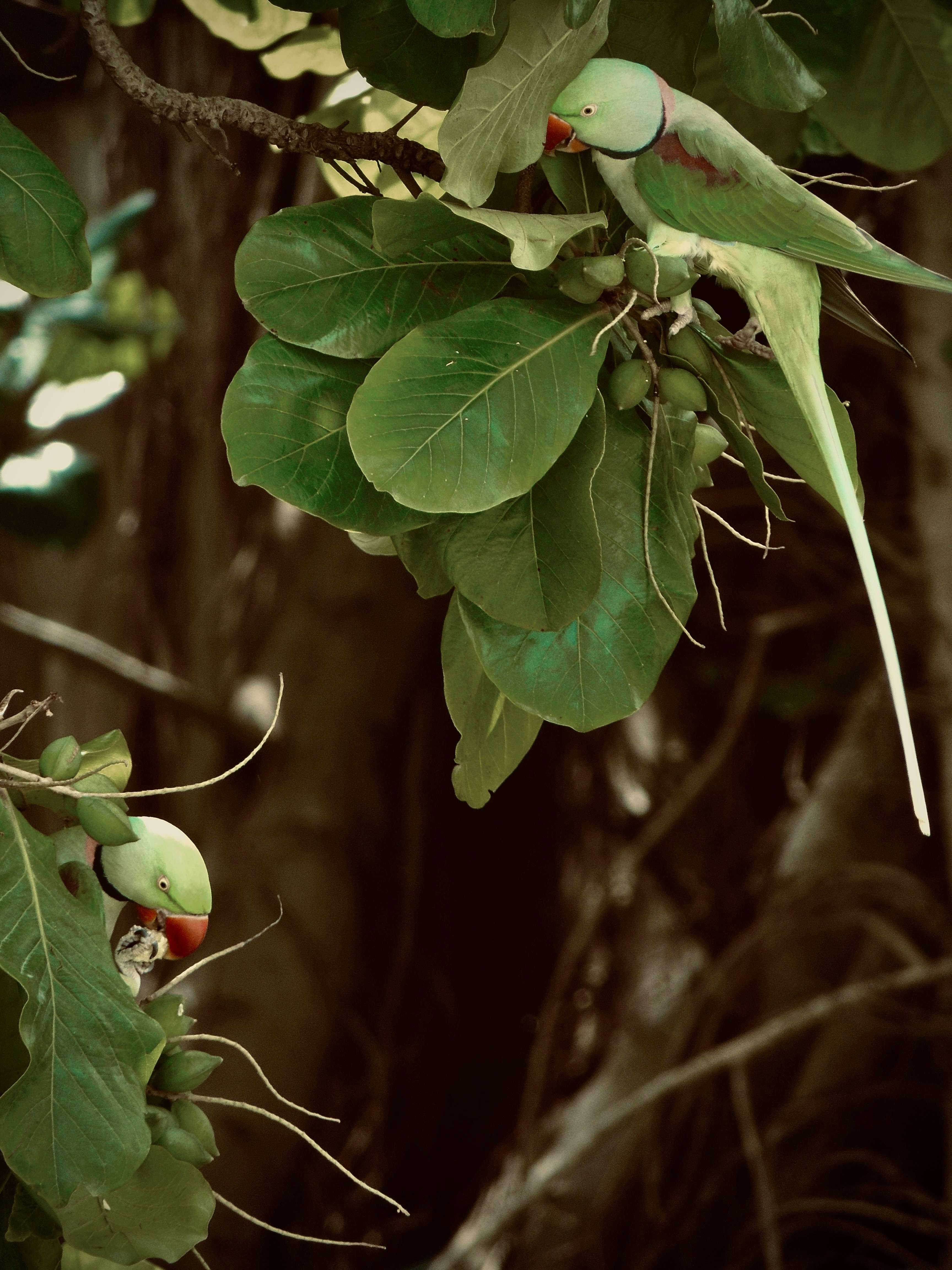 Burline Perlmutter Pictures | Download Free Images on Unsplash