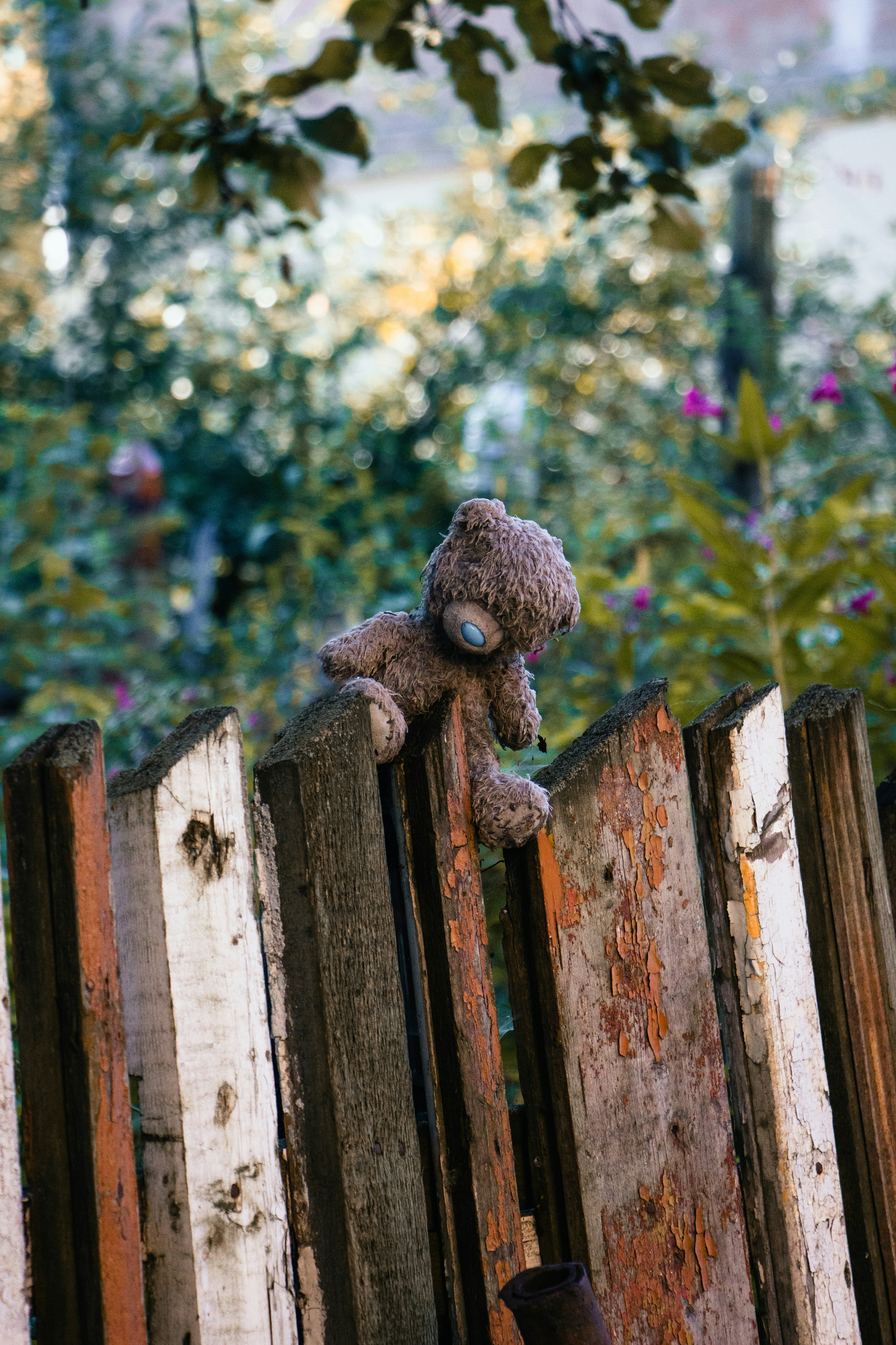 Photo by temapedchenko