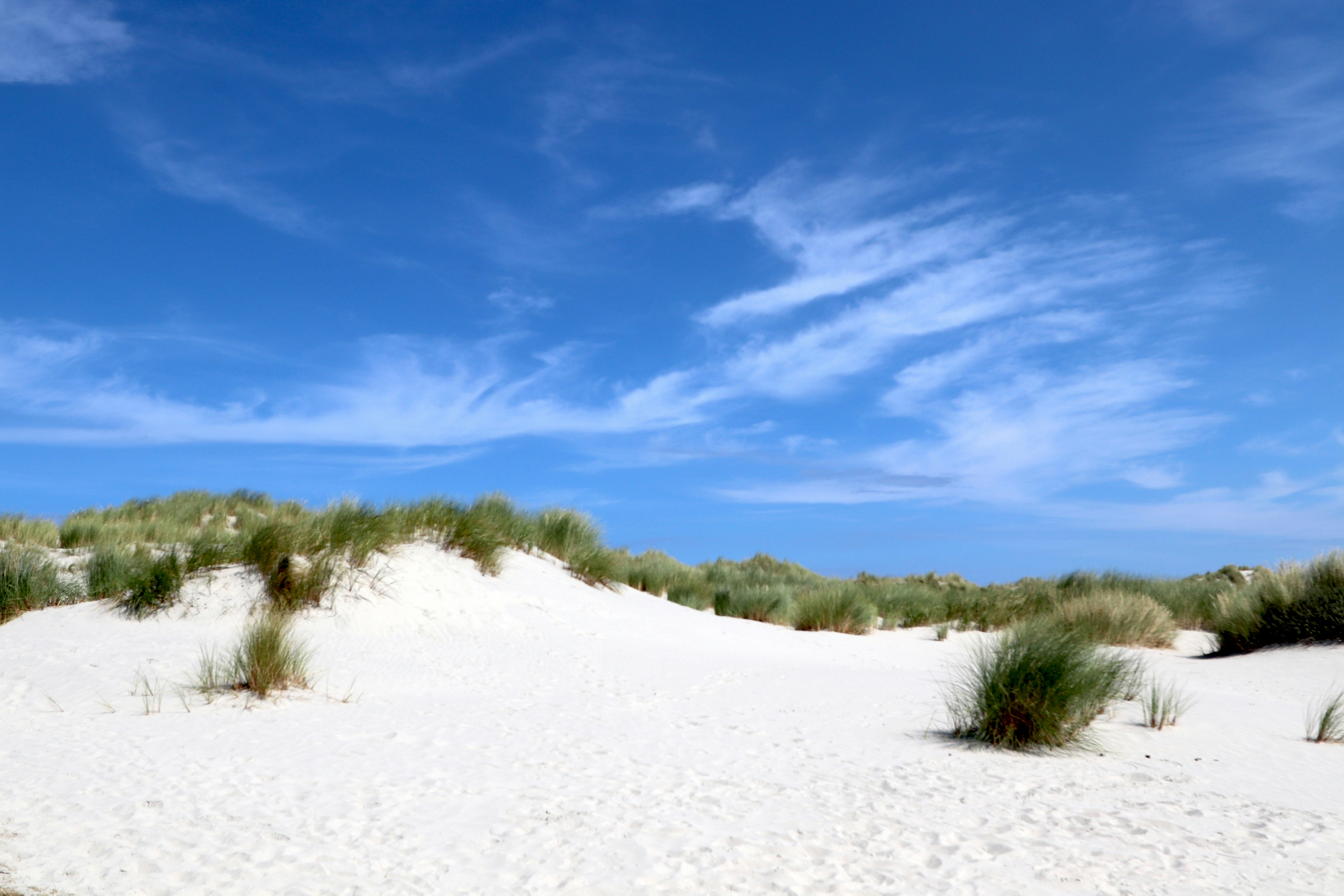 Photo by justmejuliee