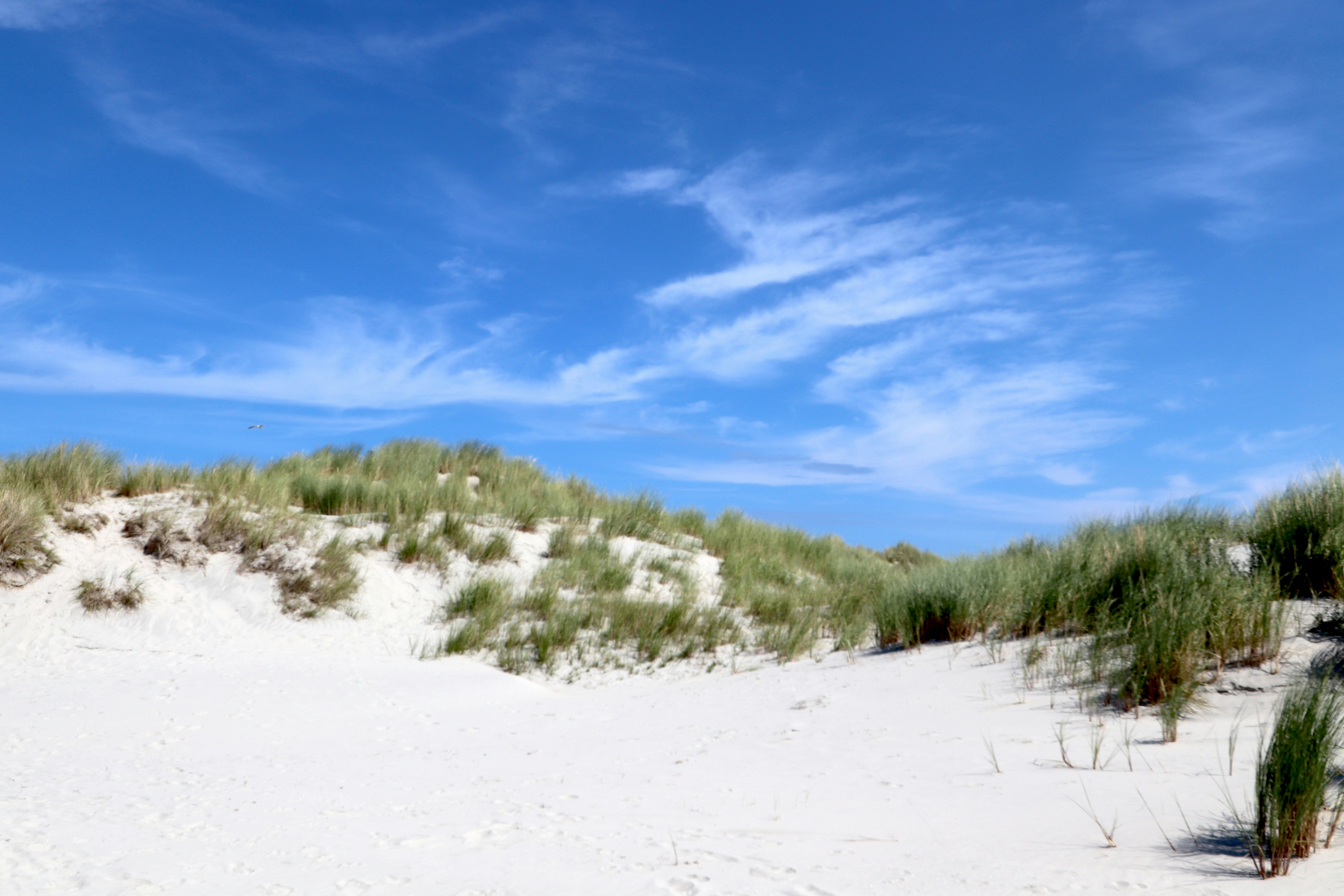 Photo by justmejuliee