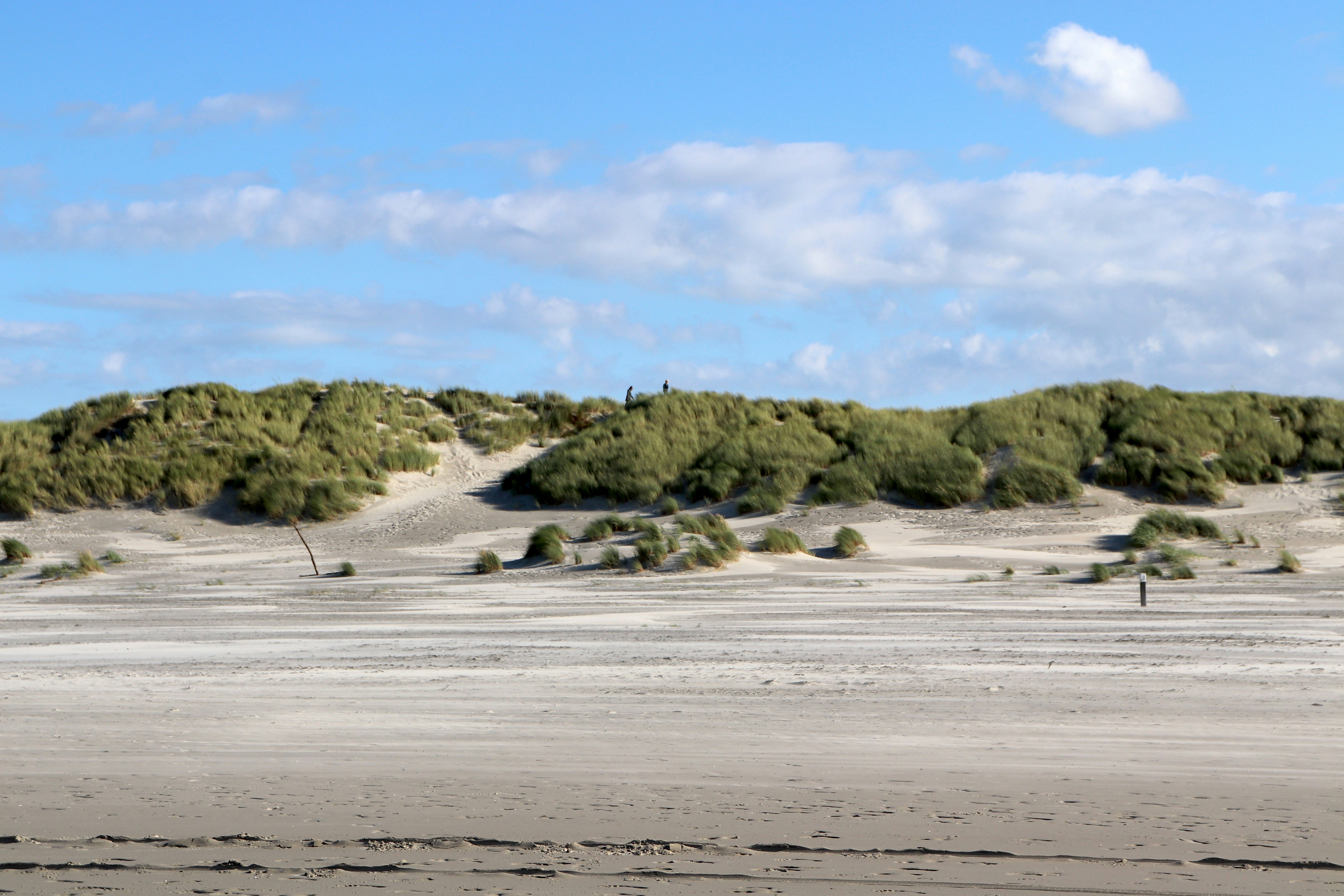 Photo by justmejuliee