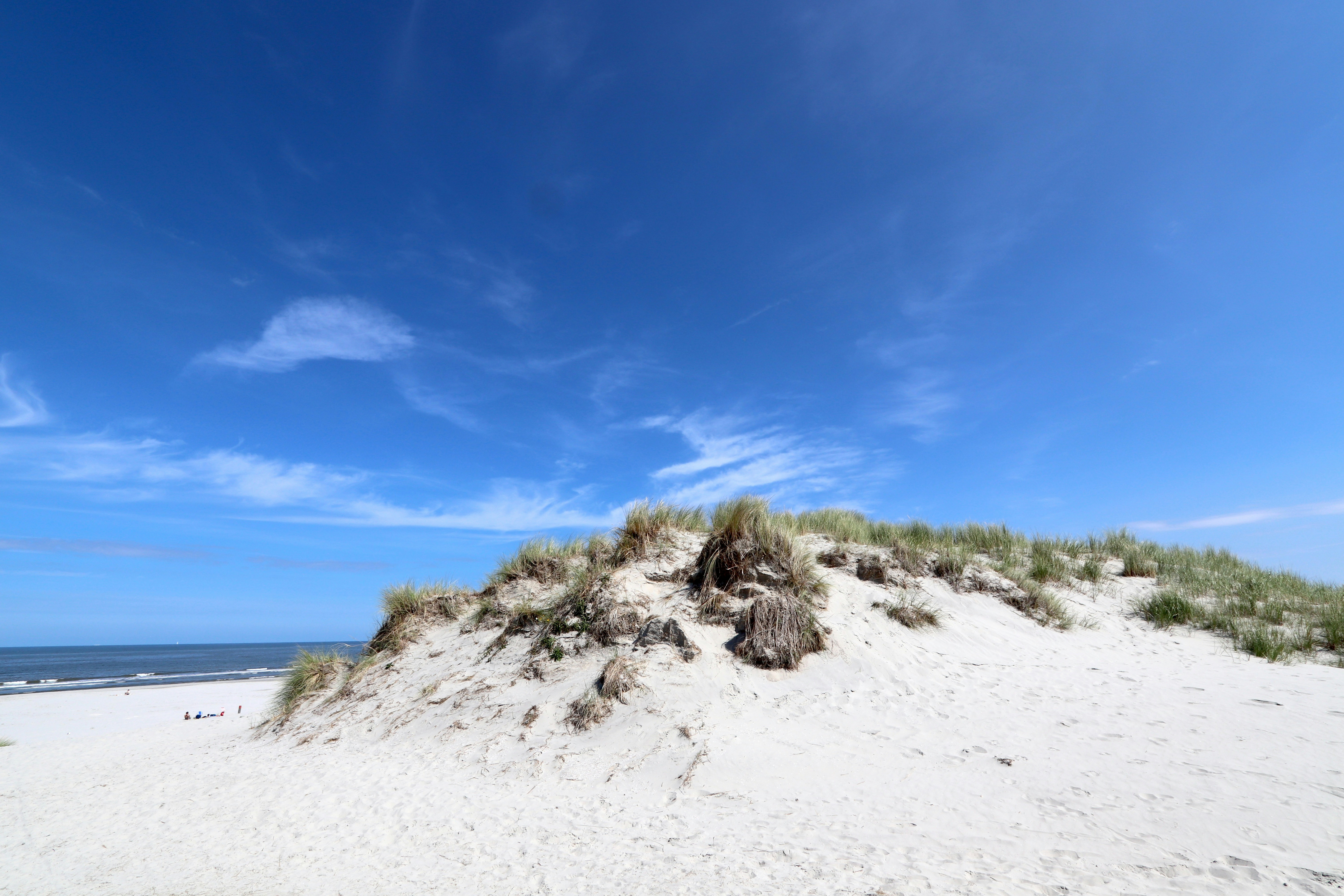 Photo by justmejuliee