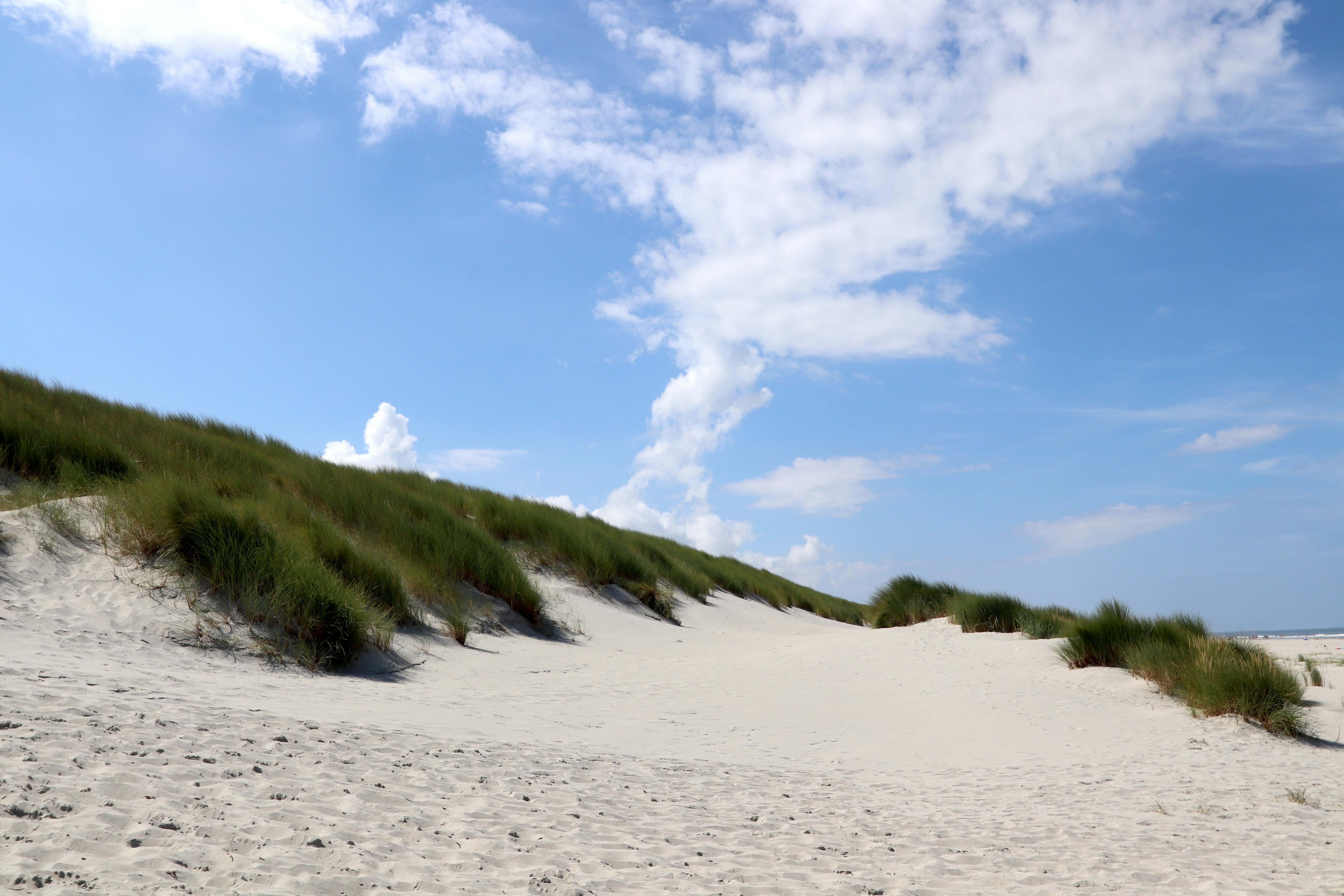 Photo by justmejuliee