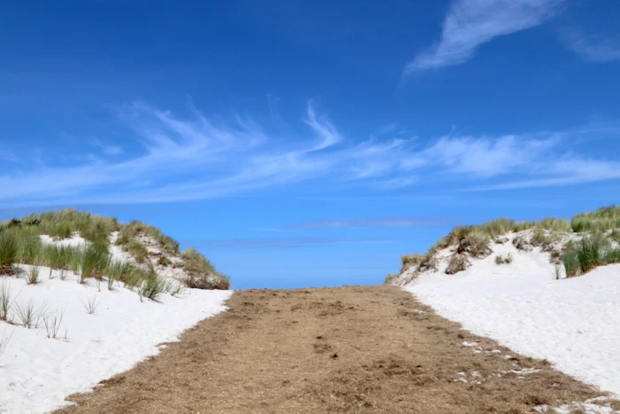 A dirt path through dunes leading to a secluded beach, similar to the 4x4 access to Malcolm's Beach