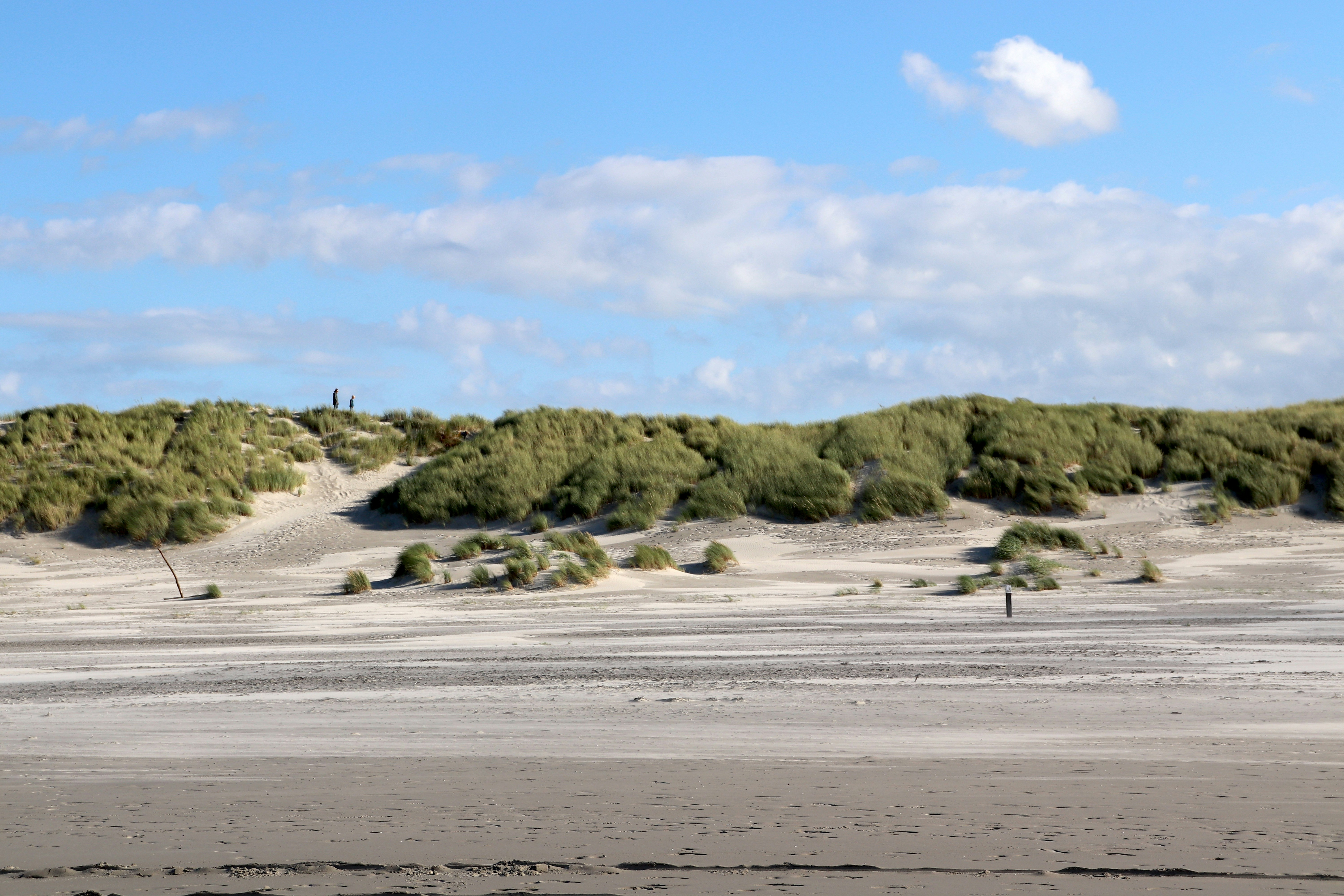 Photo by justmejuliee