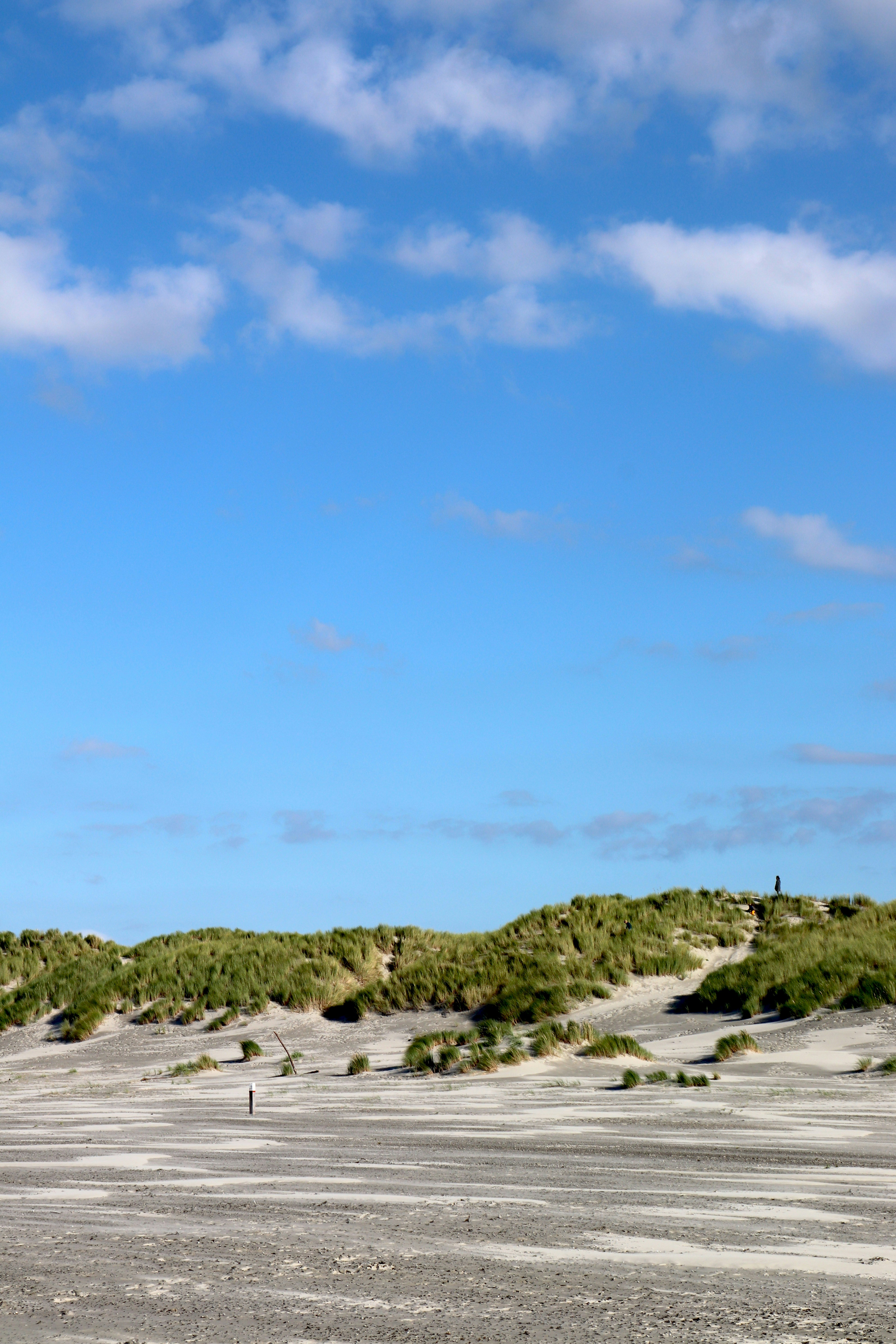 Photo by justmejuliee