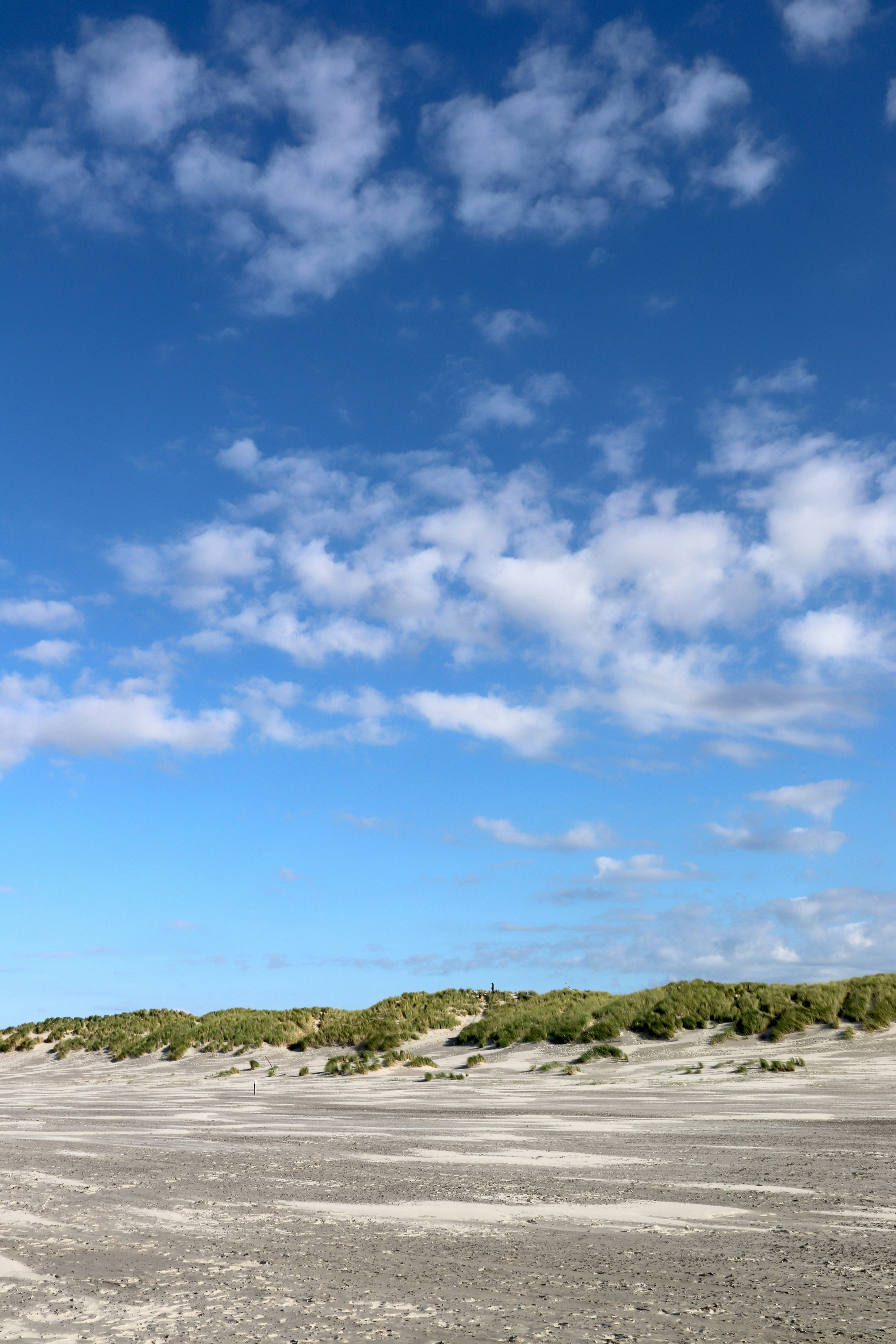 Photo by justmejuliee